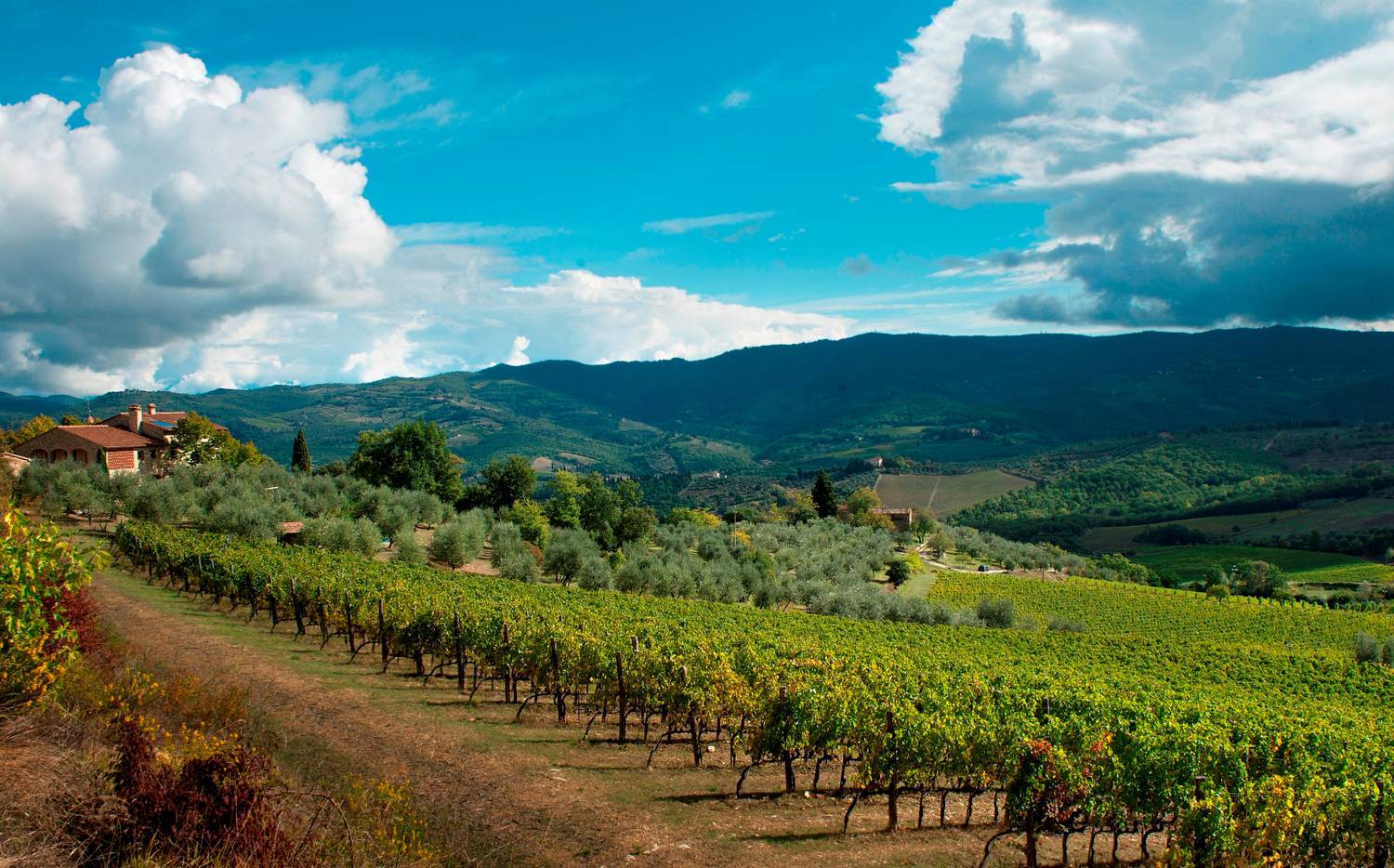 Visiting Chianti, Italy - Best 2-days itinerary - 2026 - 6 - chianti italy, chianti wine, chianti wine region, chianti region, chianti wines, chianti classico, tuscany wine region chianti italy, chianti wine, chianti wine region, chianti region, chianti wines, chianti classico, tuscany wine region - Visiting Chianti, Italy - Best 2-days itinerary - 2026 - 5