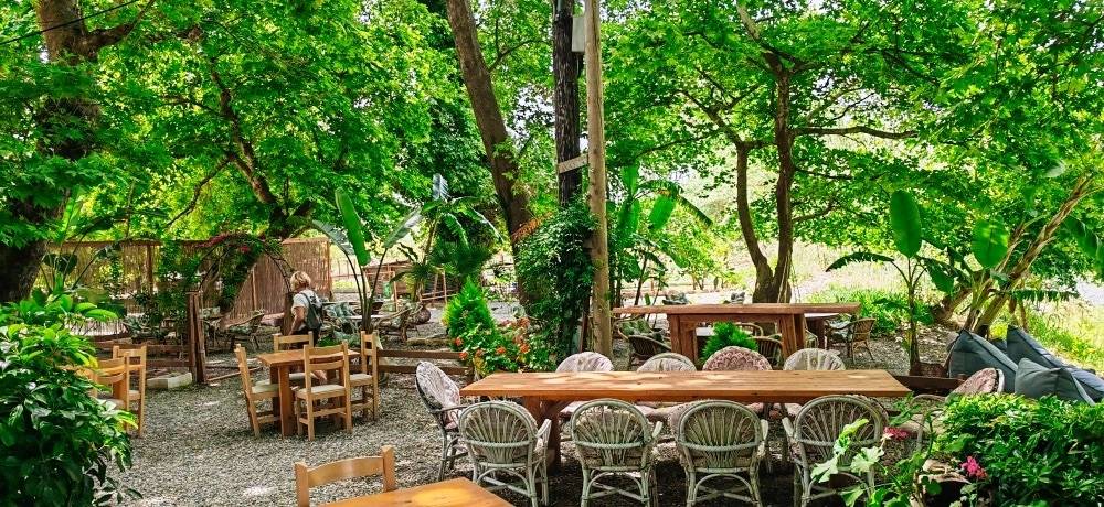 La cave de Platonie  - Winalist