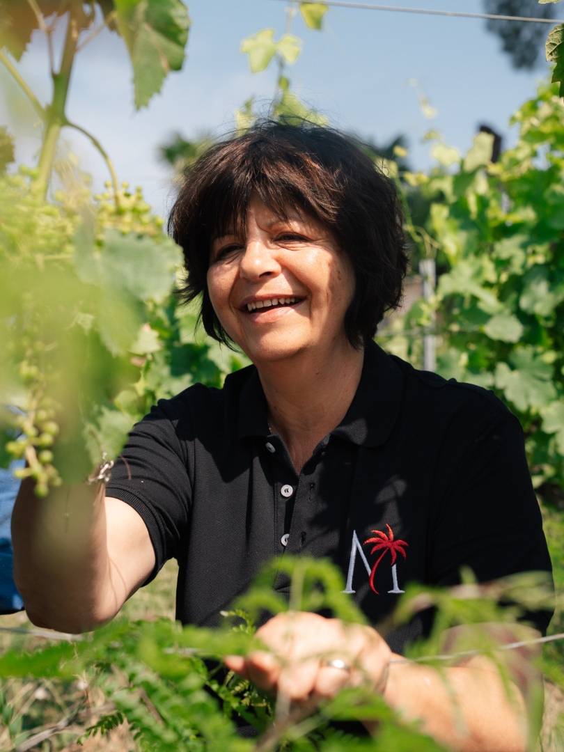 About winegrowers - Mauperier - Photo - Winalist