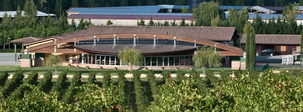 Cantina Monte Vibiano - Winalist