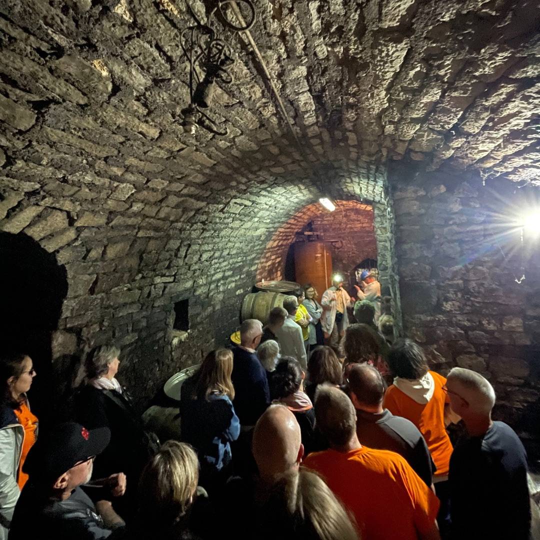 negozio natalizio - La Cave Du Maitre De Poste - Winalist