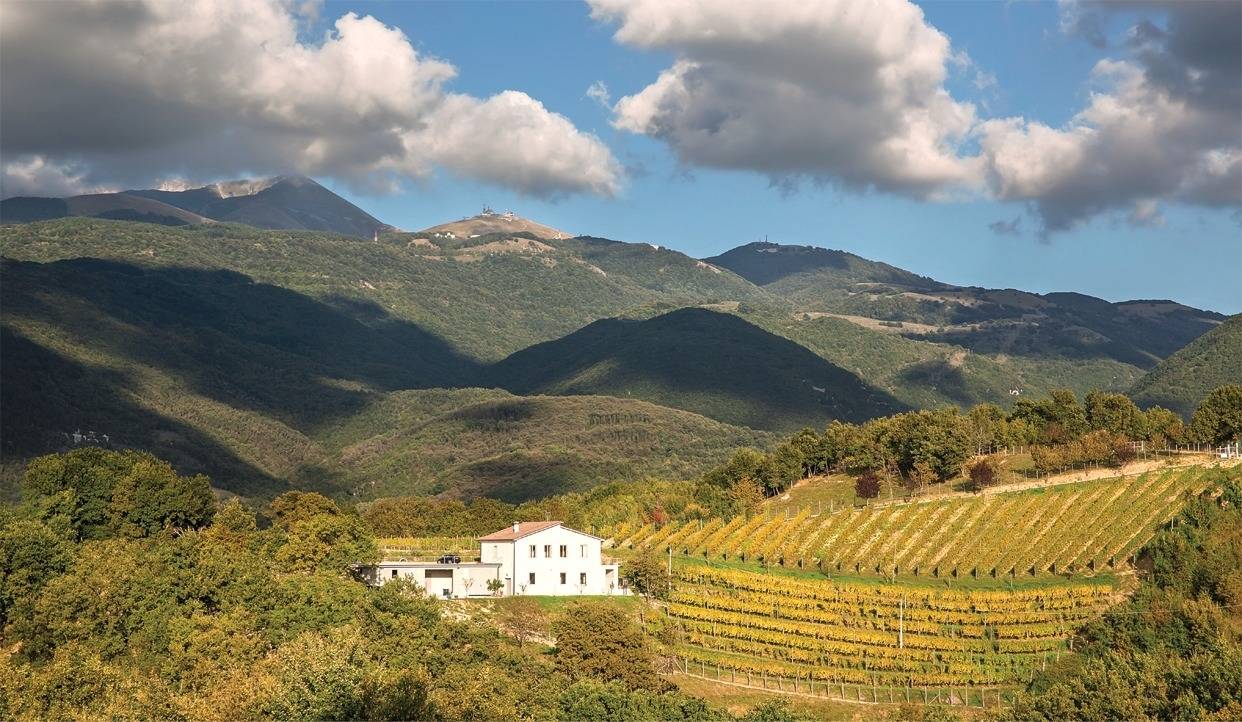 Cantina Le Macchie  - Winalist