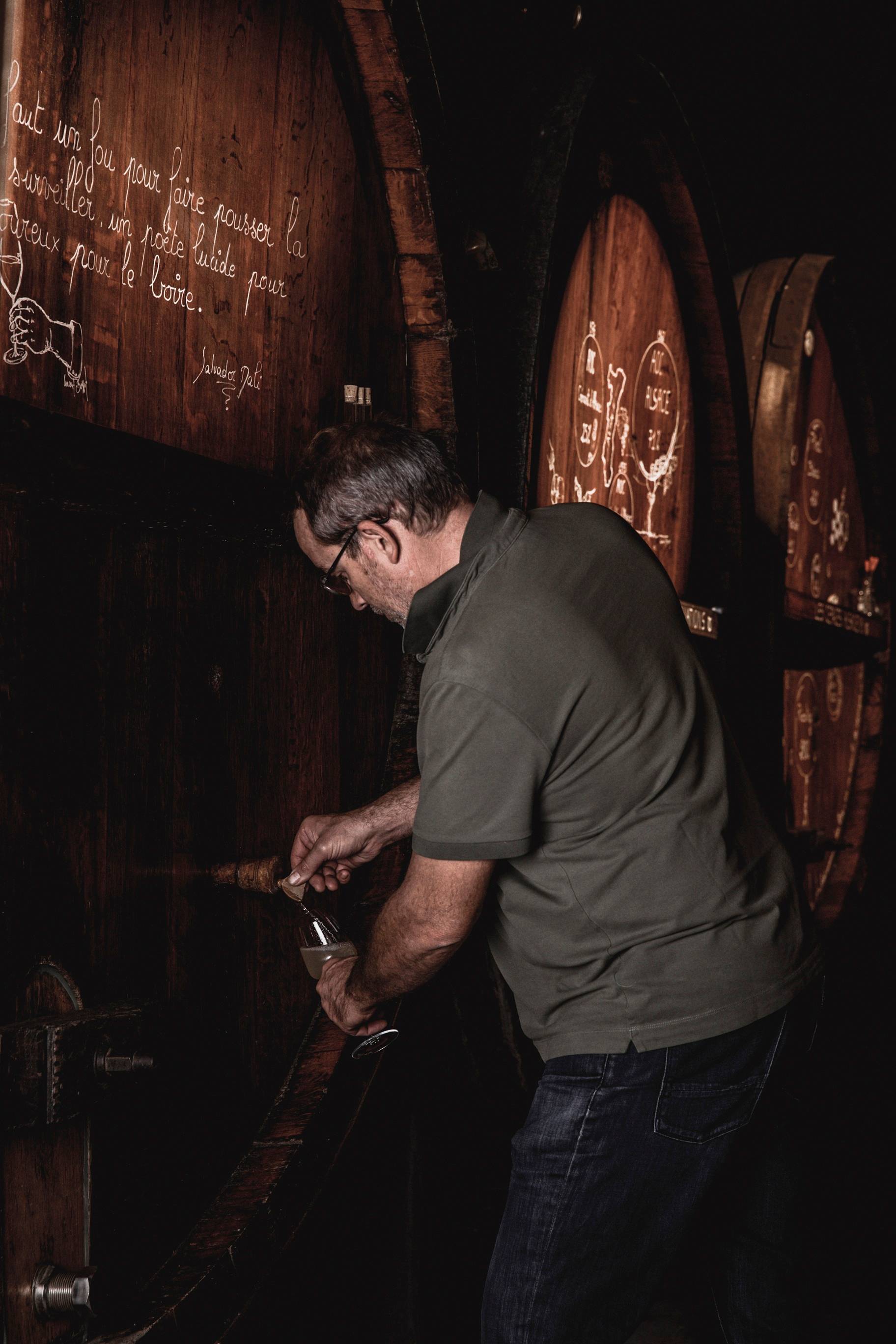 Visita immersiva in una cantina vinicola per famiglie - Natale in Alsazia