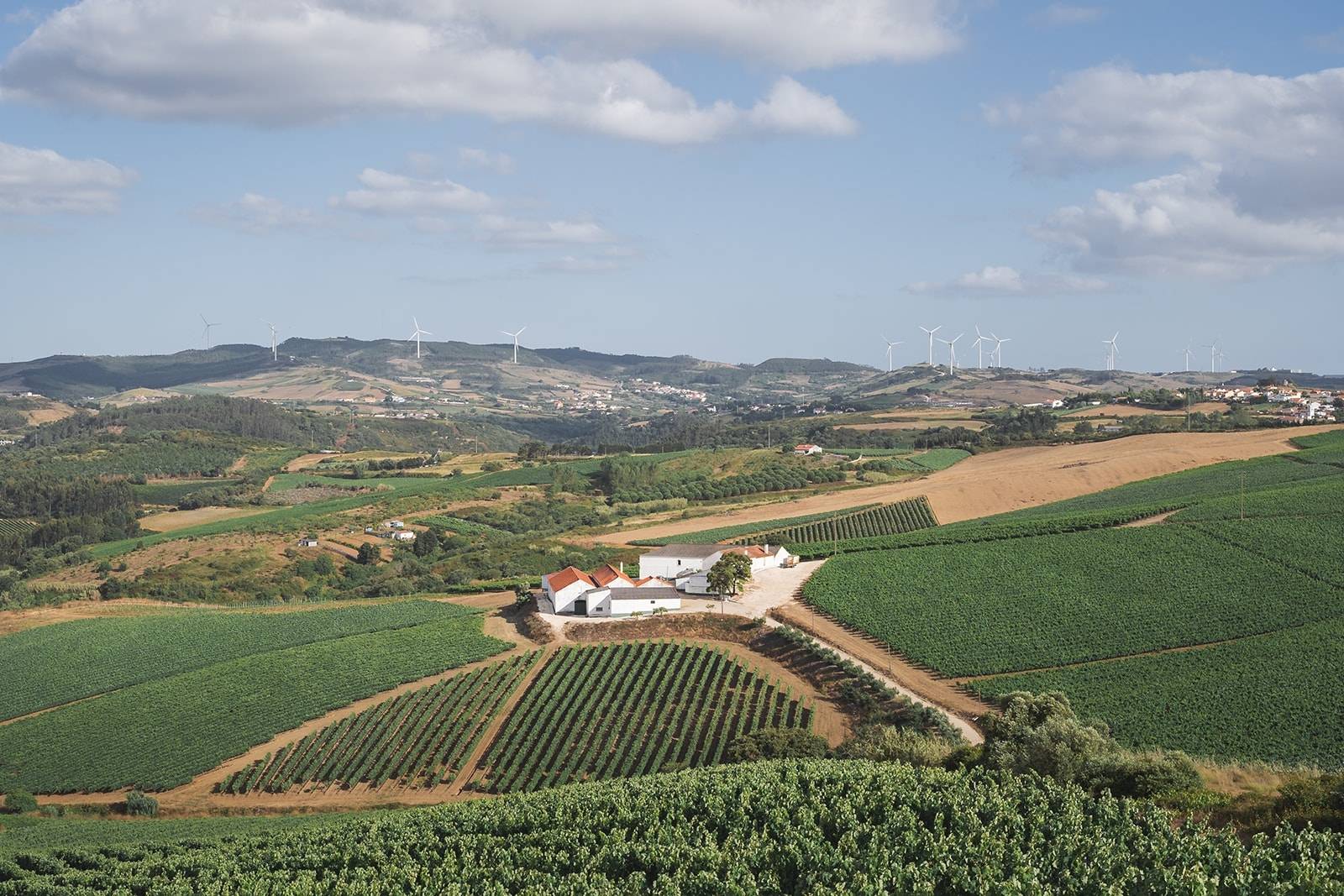 Quinta Da Cidadoura - Winalist