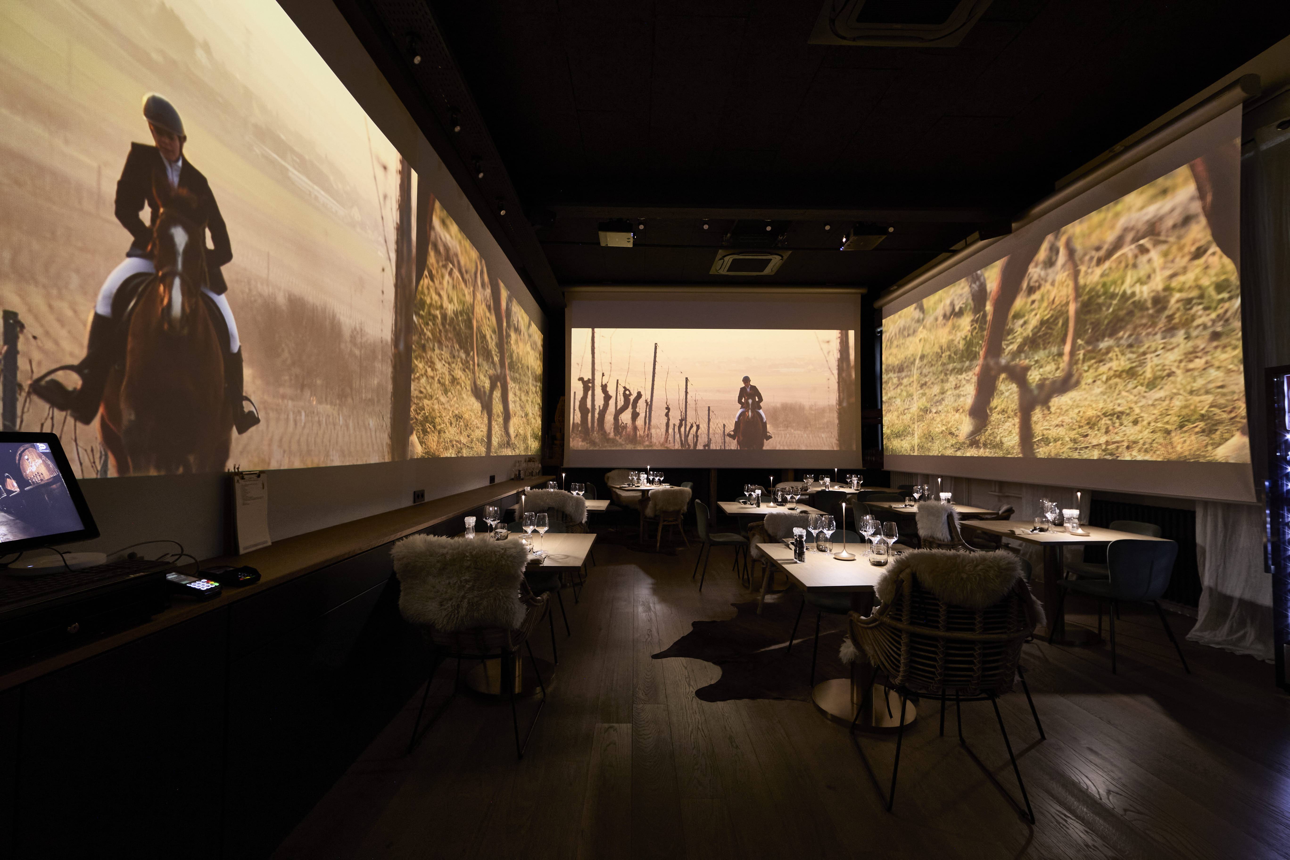 100% Immersive Cellar Tour and Alsatian Meal