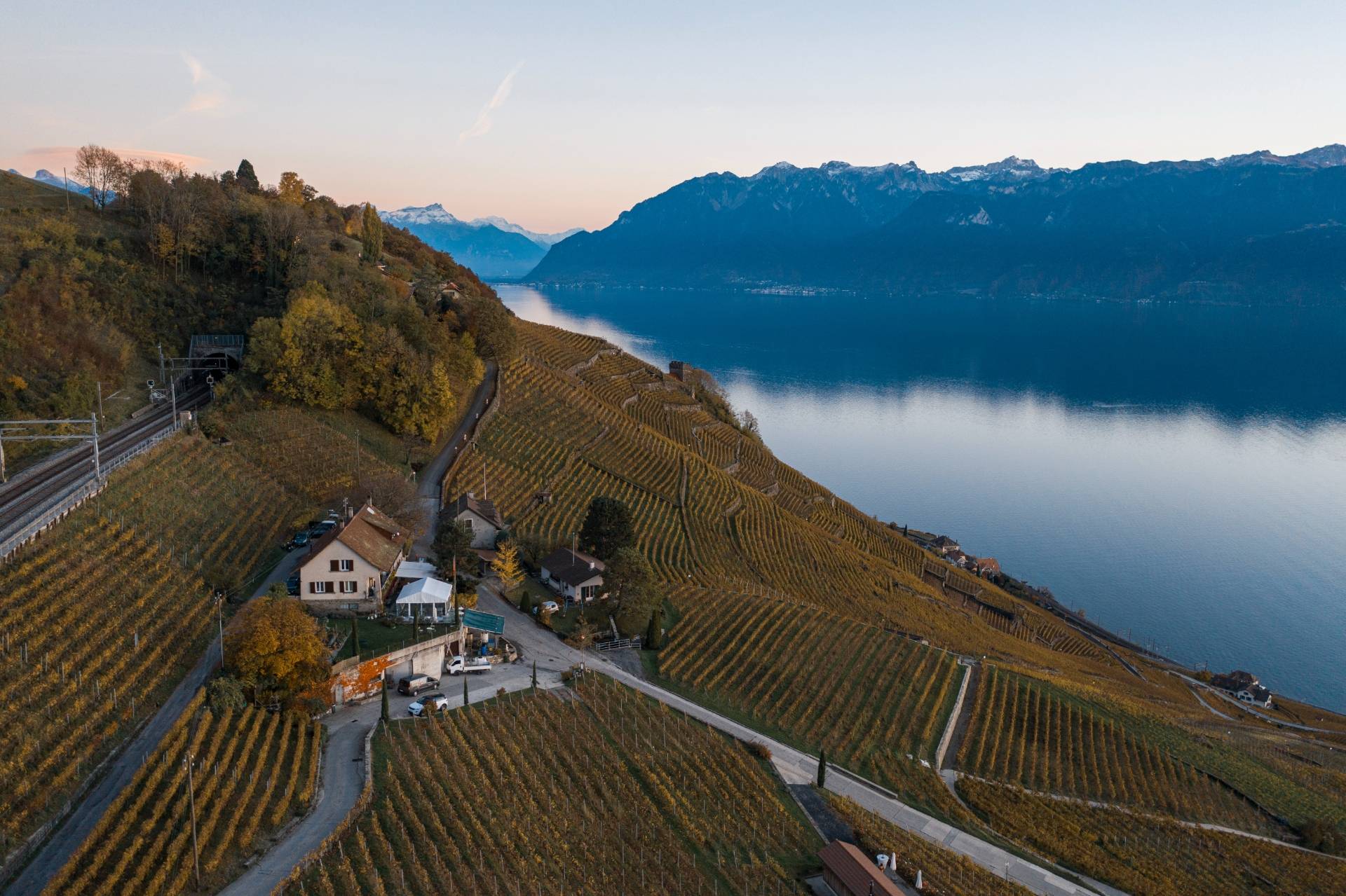 Domaine Gaillard - Winalist