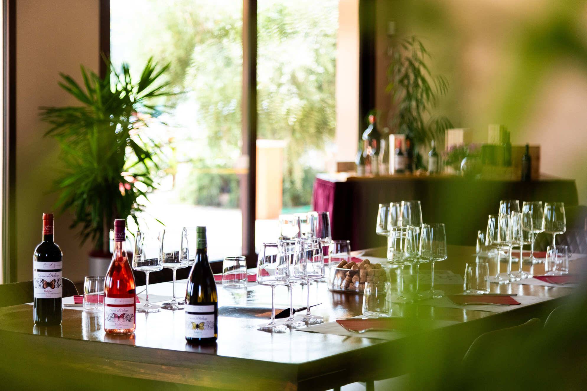 Bolgheri Essentials - Visite et dégustation