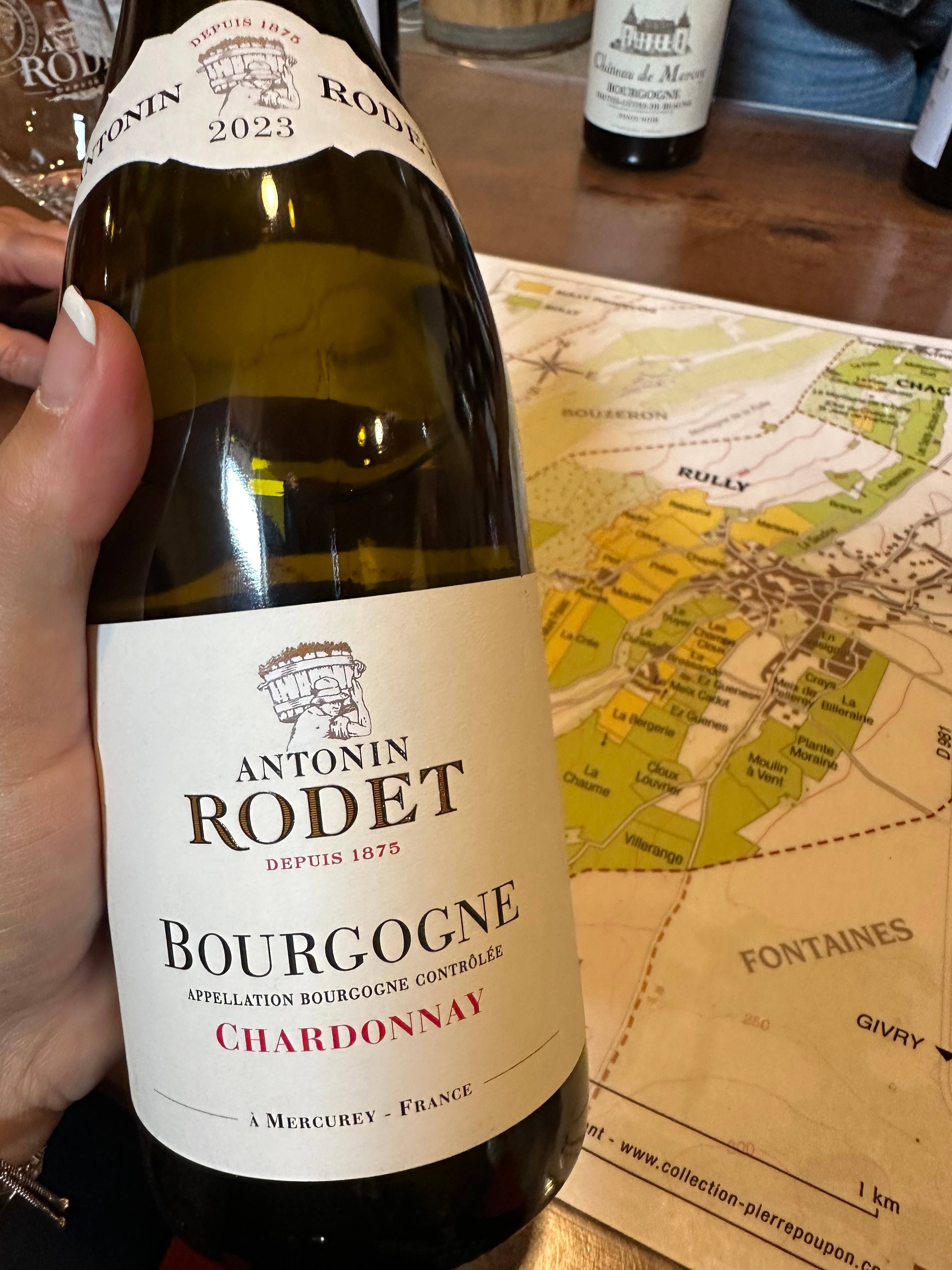 Parcours de la vigne au verre