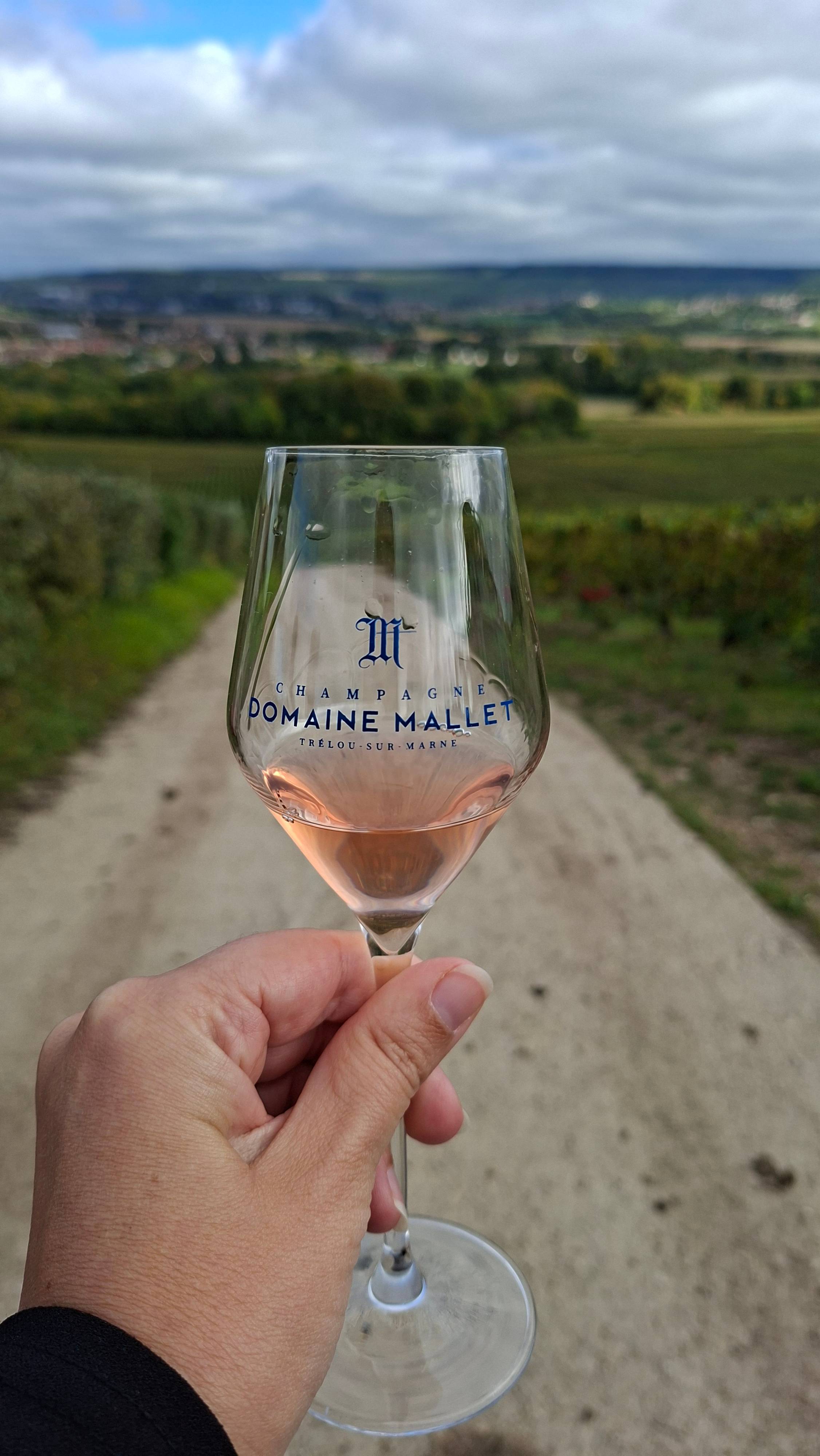 Visite du vignoble en 4x4 et dégustation dans les vignes 