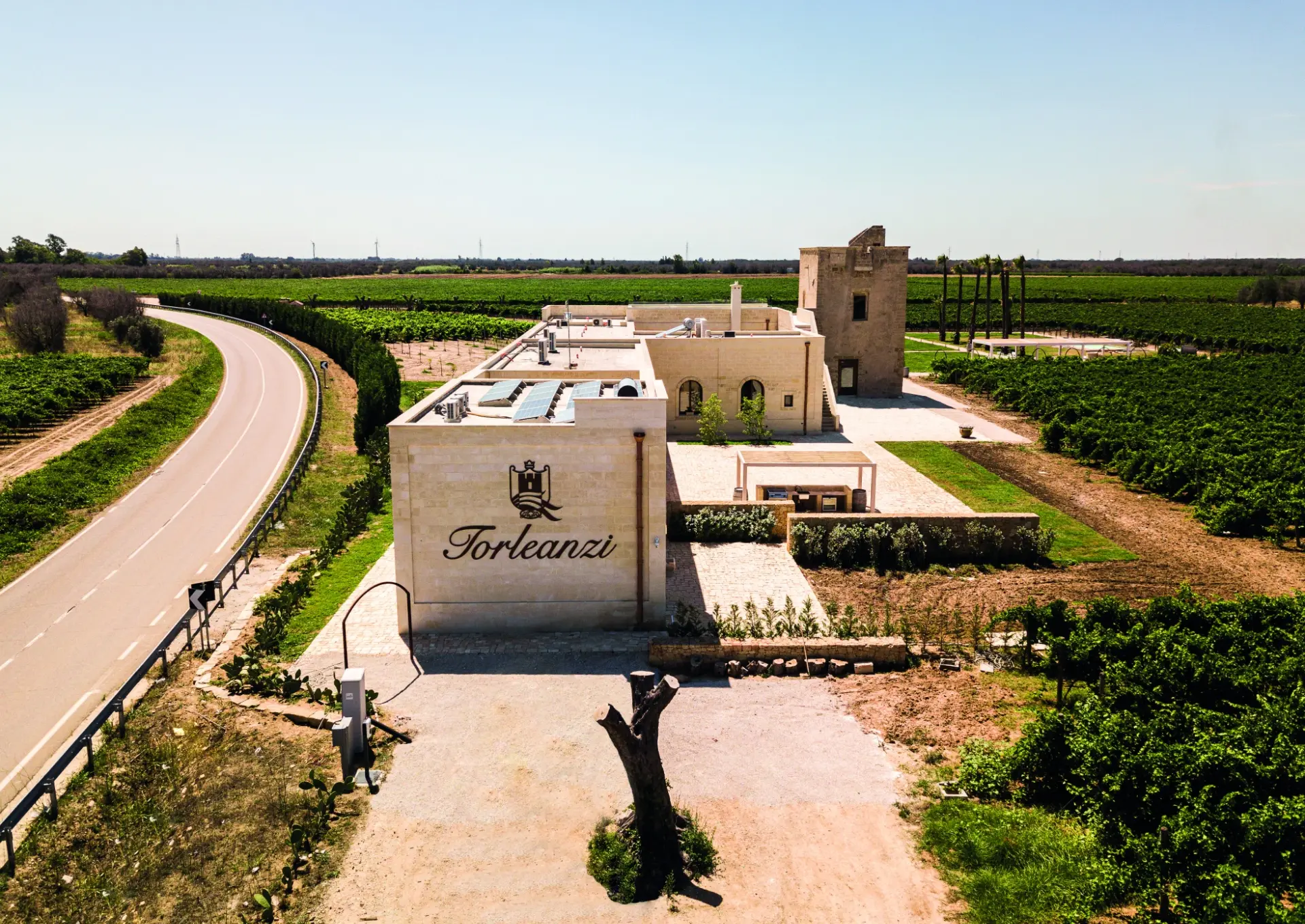 Torleanzi - Winalist