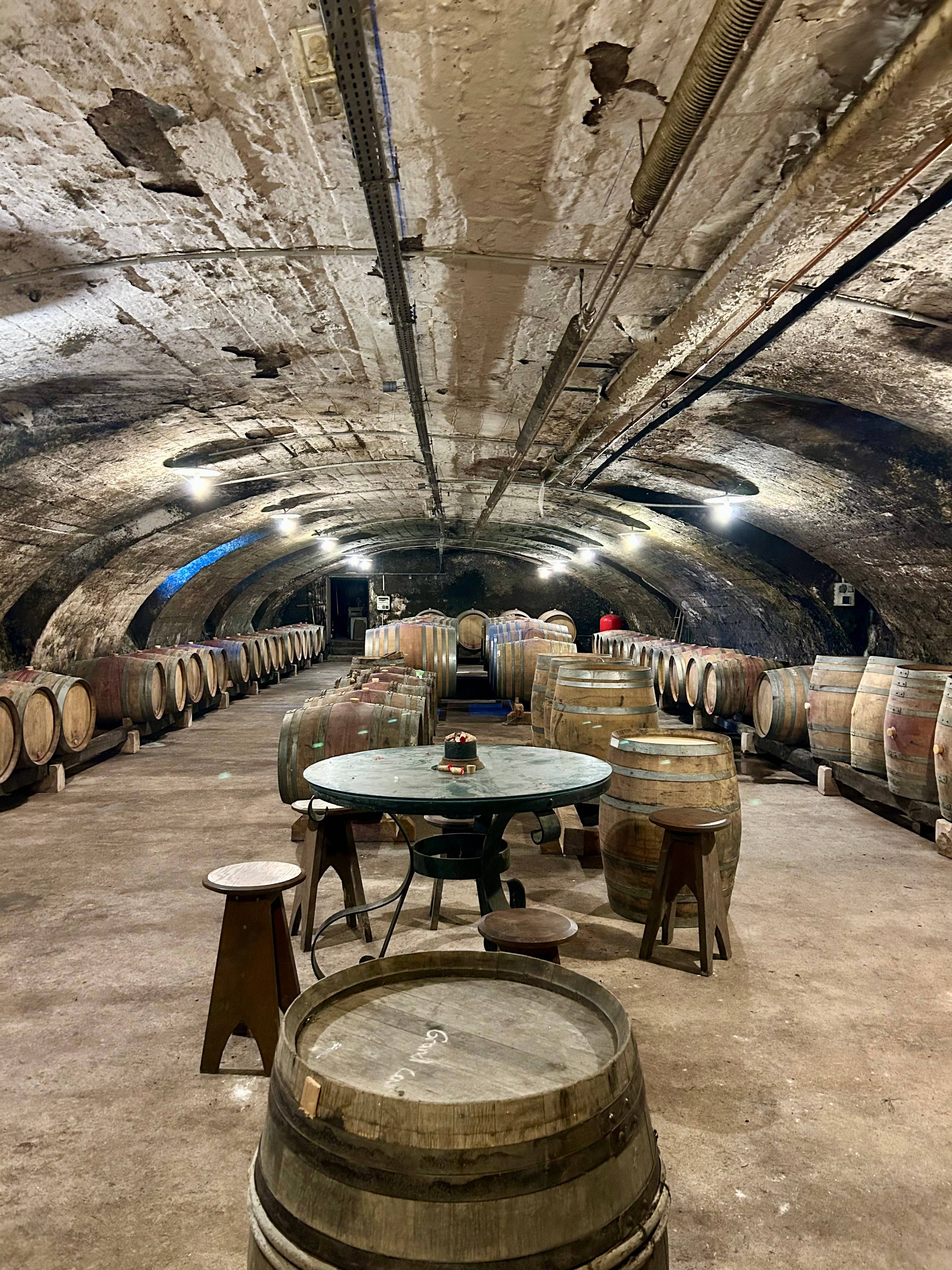 Au départ de Lyon : visite privée du Beaujolais avec guide et transport