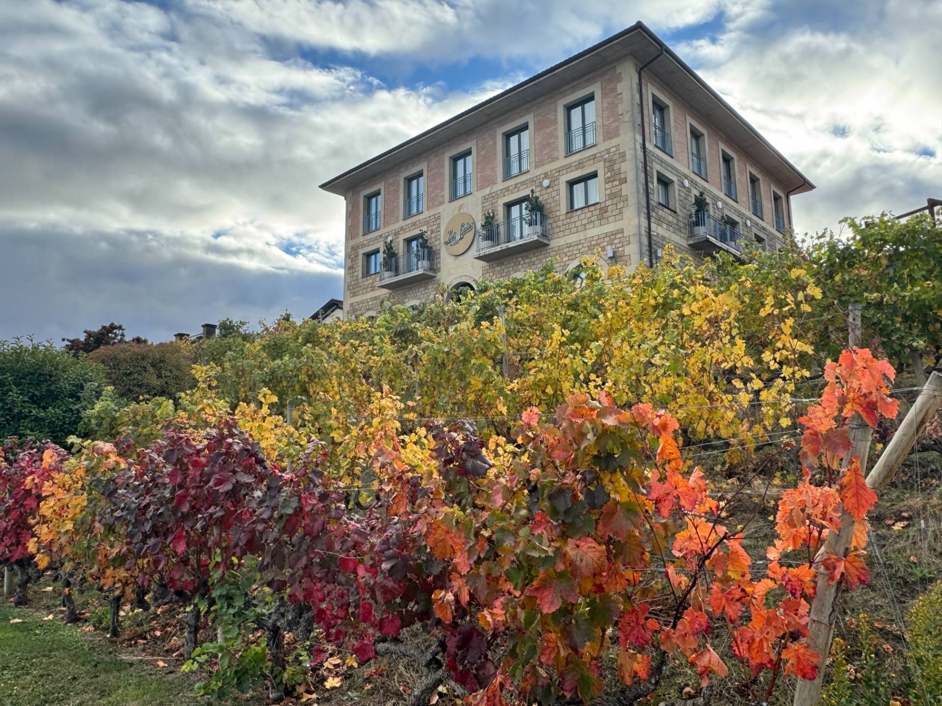 Bodegas Luis Cañas  - Winalist