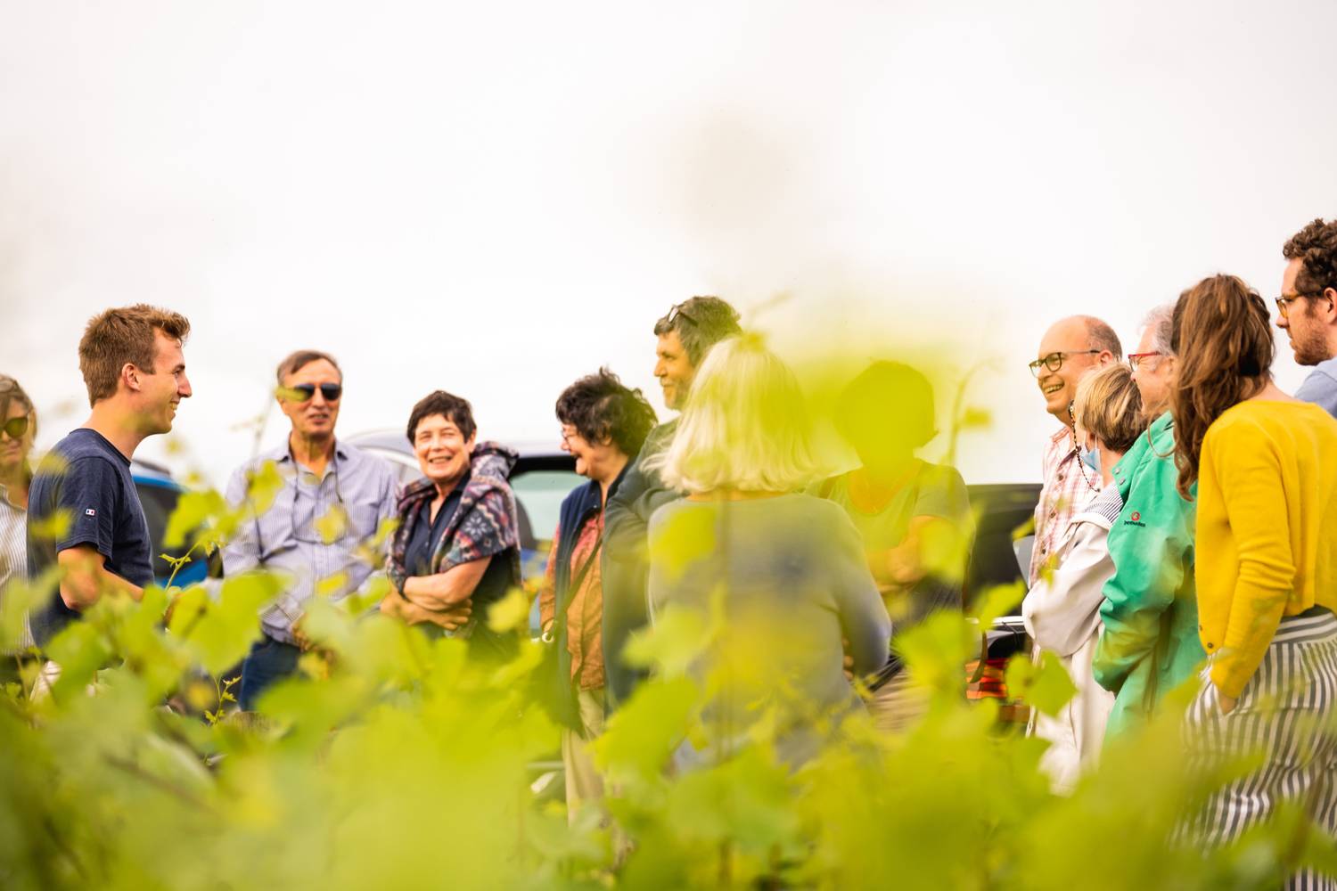 Our guide to the Best Things to Do in Sancerre - 2026 - 12 - things to do in sancerre things to do in sancerre - Our guide to the Best Things to Do in Sancerre - 2026 - 11