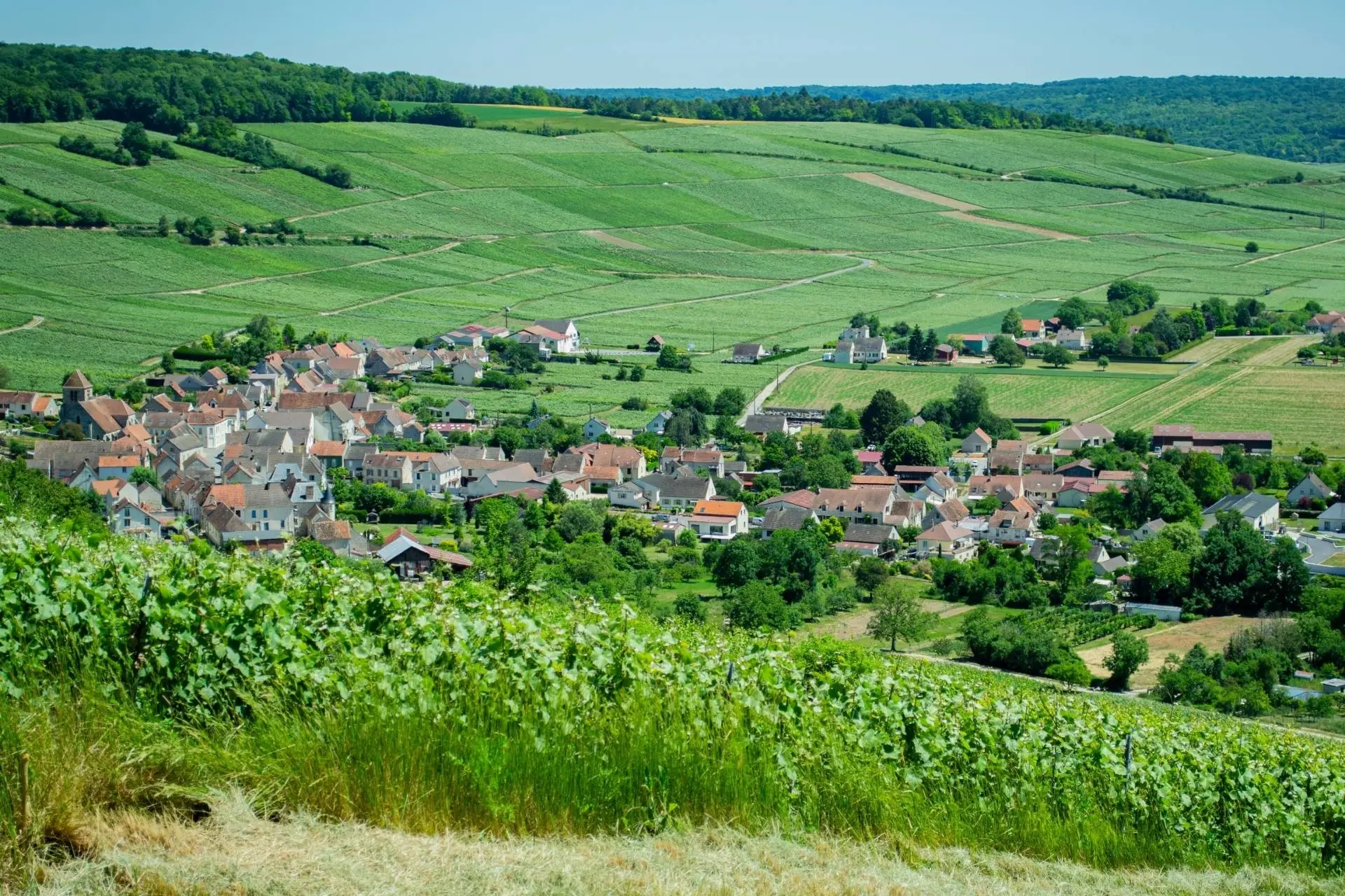 Champagne Boucant Thiery - Winalist