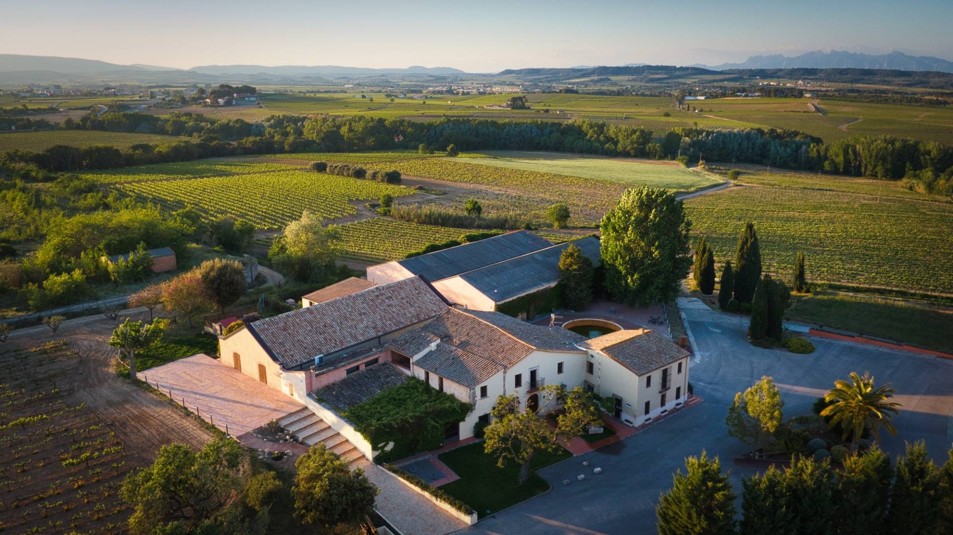 Priorat Wine Tours & Tastings ⭐️ Best Wineries 2026