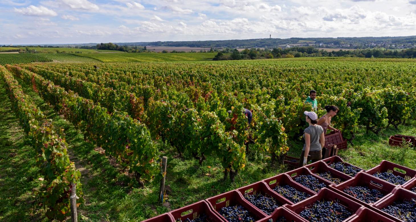 Visiter Blois : Découvrir la ville à pied et les meilleures balades - 2026 - 8 - visiter blois - Domaine Sauvete