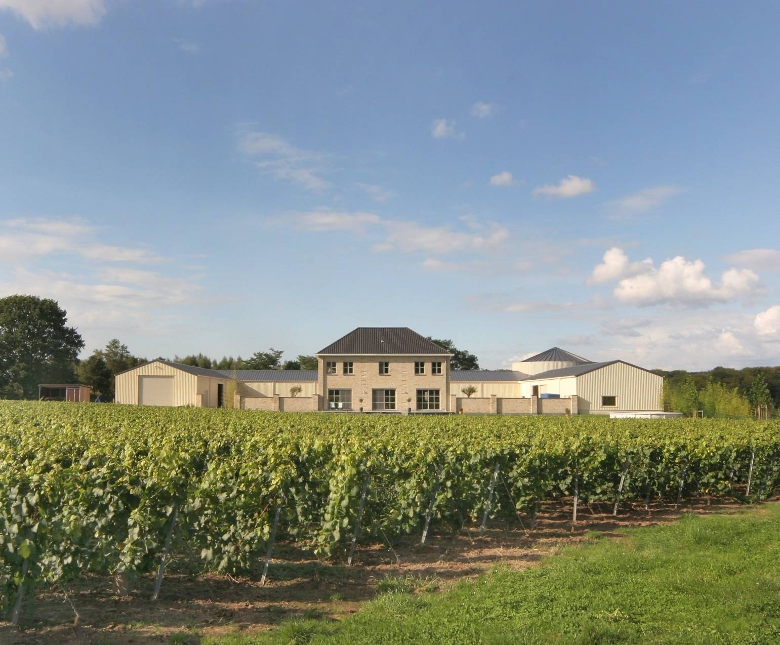 Chardonnay Meerdael - Winalist