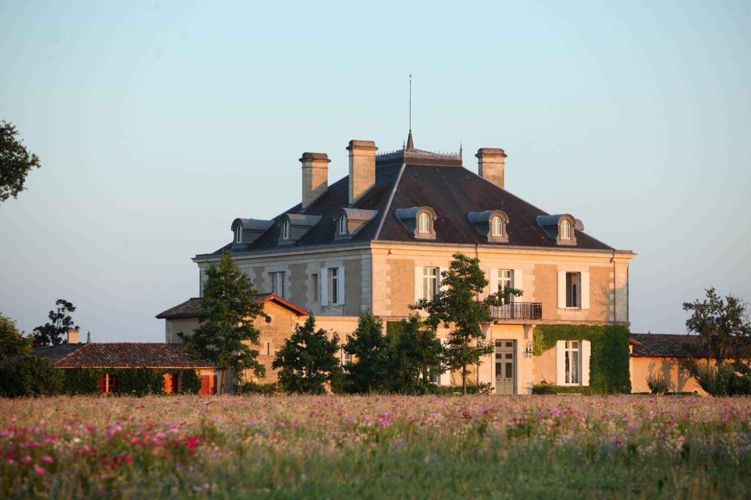 Route des vins des Graves et Sauternes : Itinéraire et Carte des vignobles - 2026 - 8 - route des vins sauternes, routes des vins graves route des vins sauternes, routes des vins graves - Route des vins des Graves et Sauternes : Itinéraire et Carte des vignobles - 2026 - 7