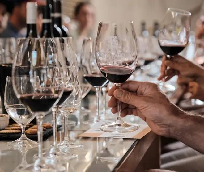 Visit to the Winery with Special Tasting - New vs. Old