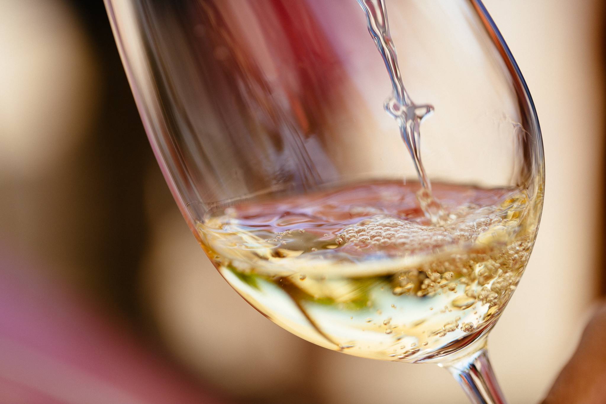 Visit & 5 wines tasting