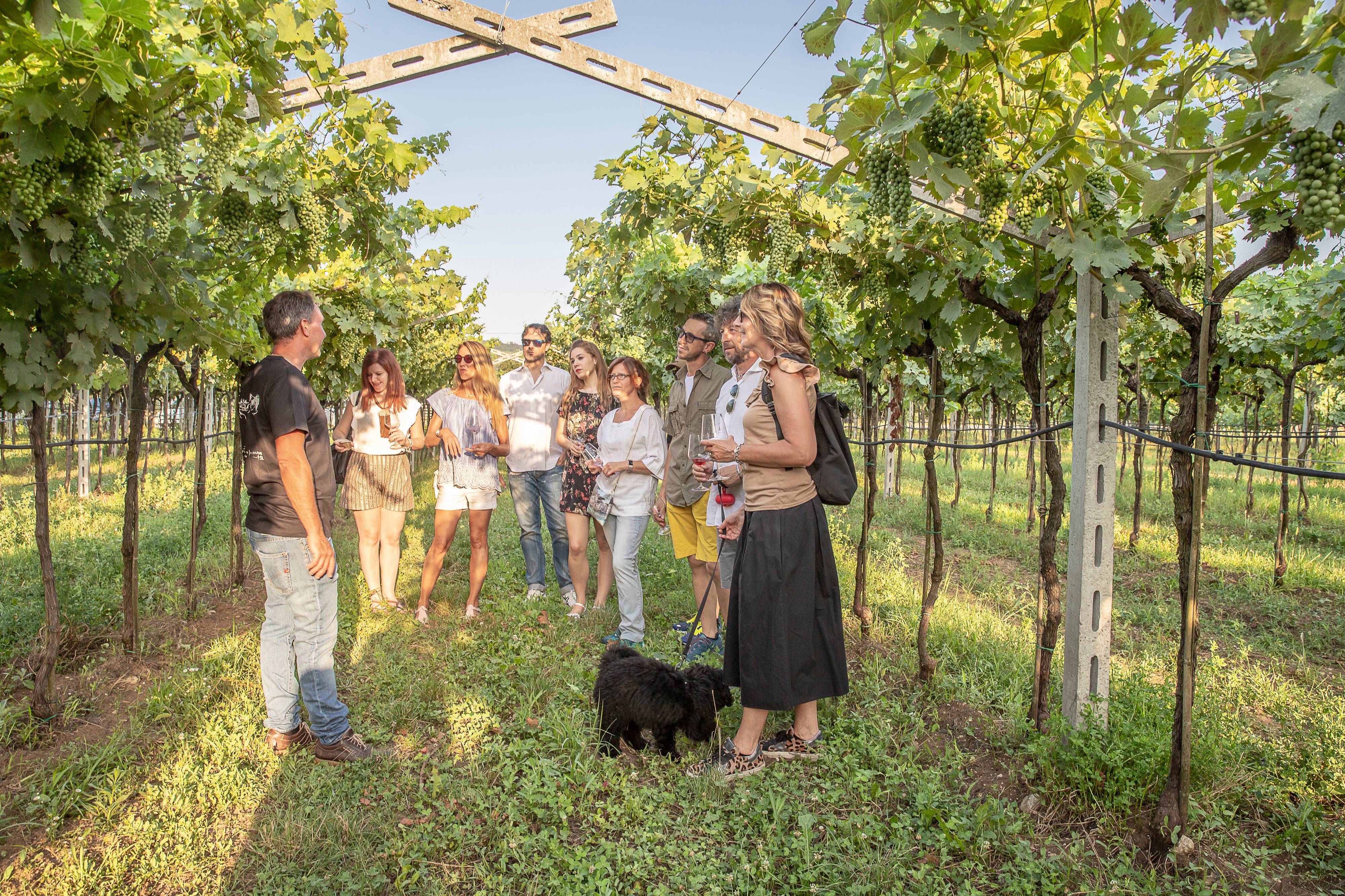 Visiter Padoue : La beauté discrète de la Vénétie en Italie - 2026 - 30 - padoue padoue - Visiter Padoue : La beauté discrète de la Vénétie en Italie - 2026 - 29