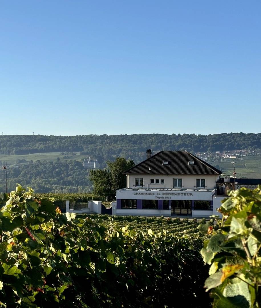 Champagne du Rédempteur - Winalist