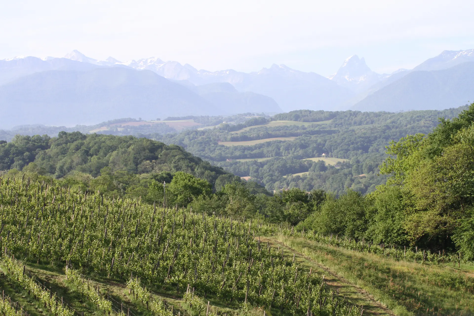 Clos Lapeyre - Winalist