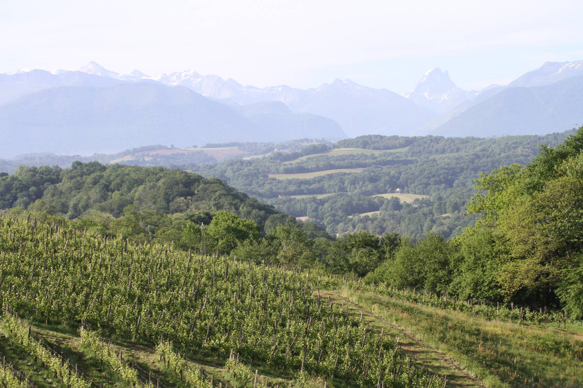 Visiter Pau : Les Incontournables de la Capitale du Béarn - 2026 - 21 - visiter Pau visiter Pau - Visiter Pau : Les Incontournables de la Capitale du Béarn - 2026 - 20
