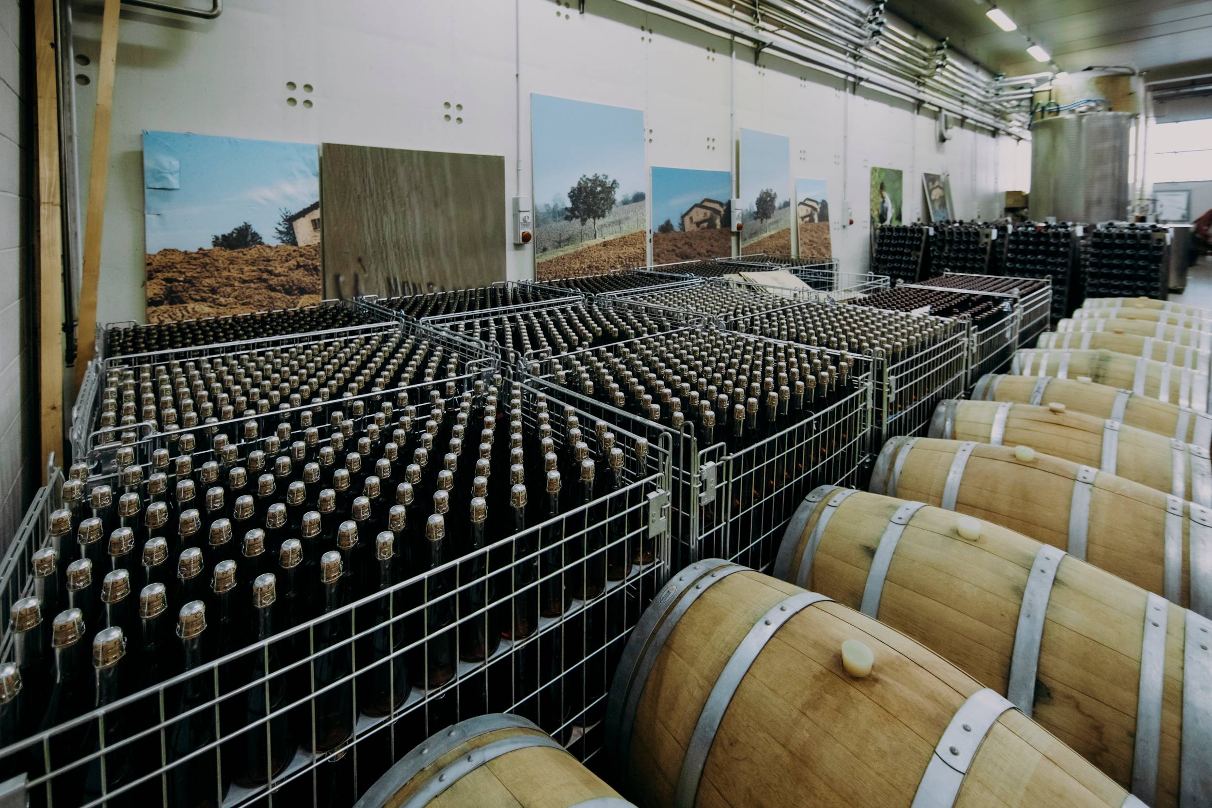 Lambrusco Experience