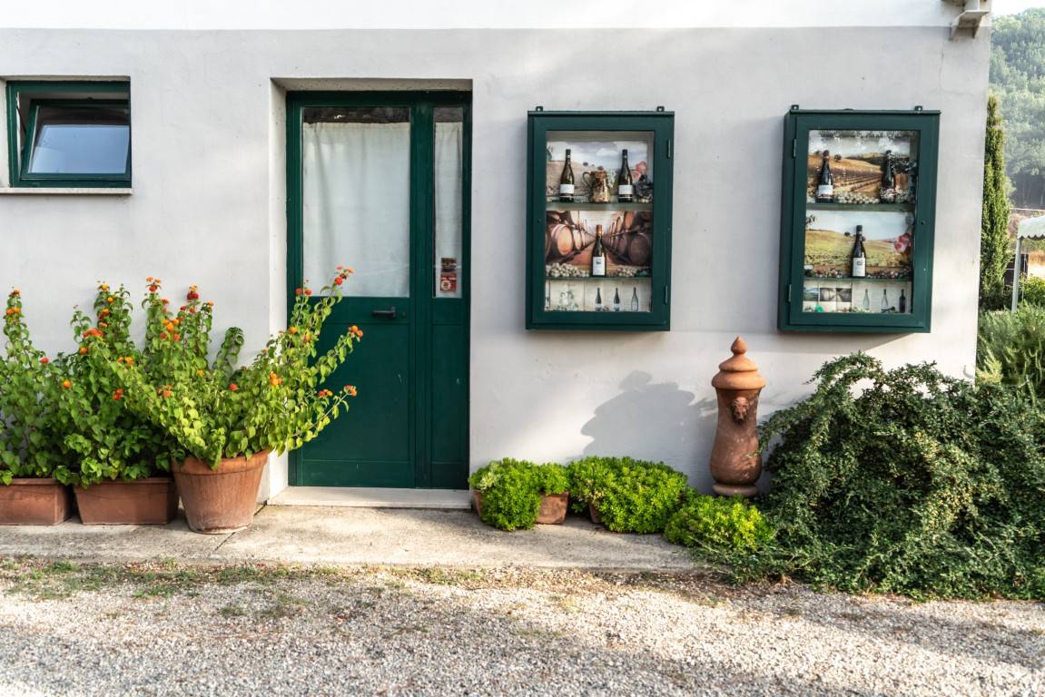 The treasures of the lake - Azienda Agricola Castello di Corbara - Winalist