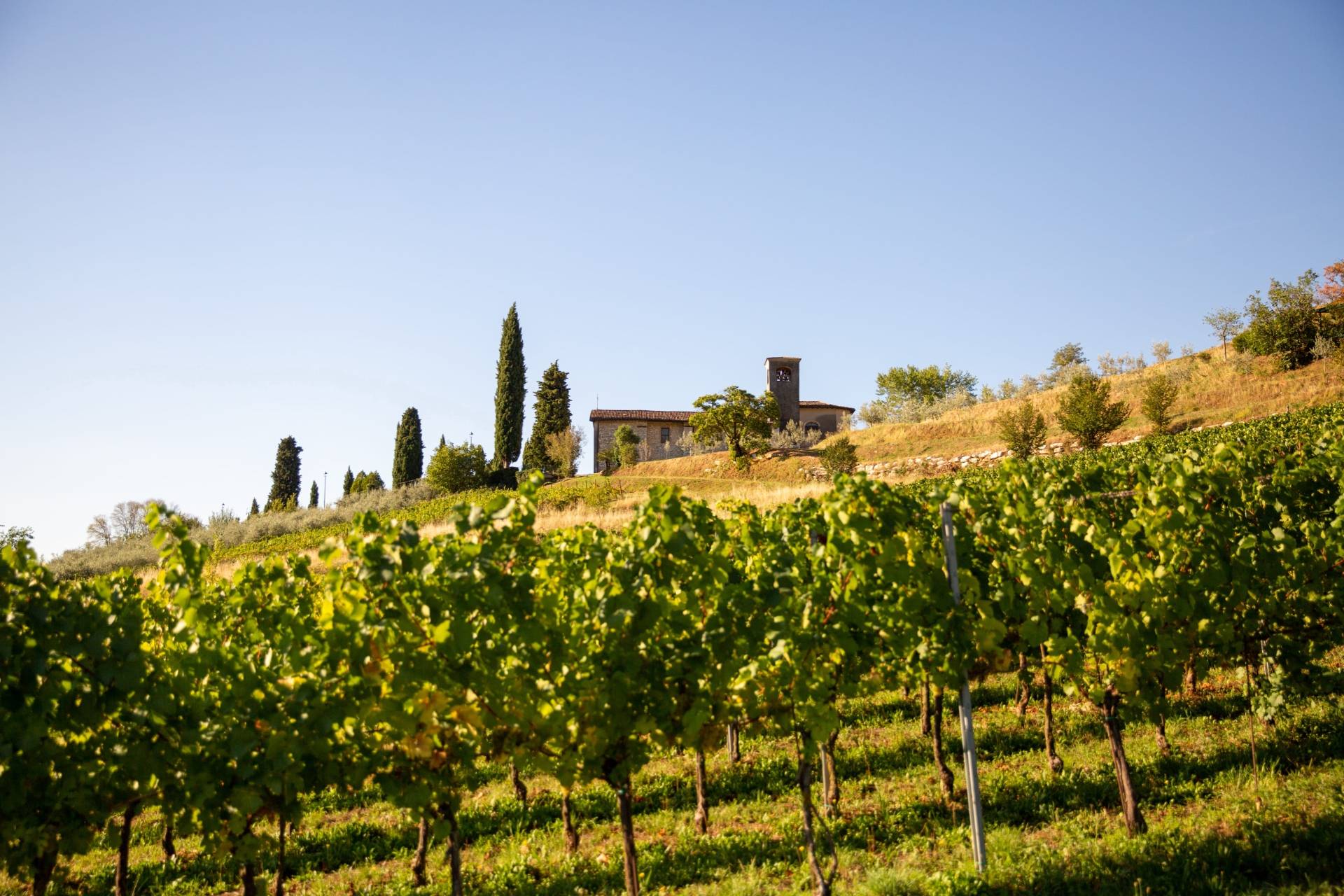 Camilucci Franciacorta - Winalist