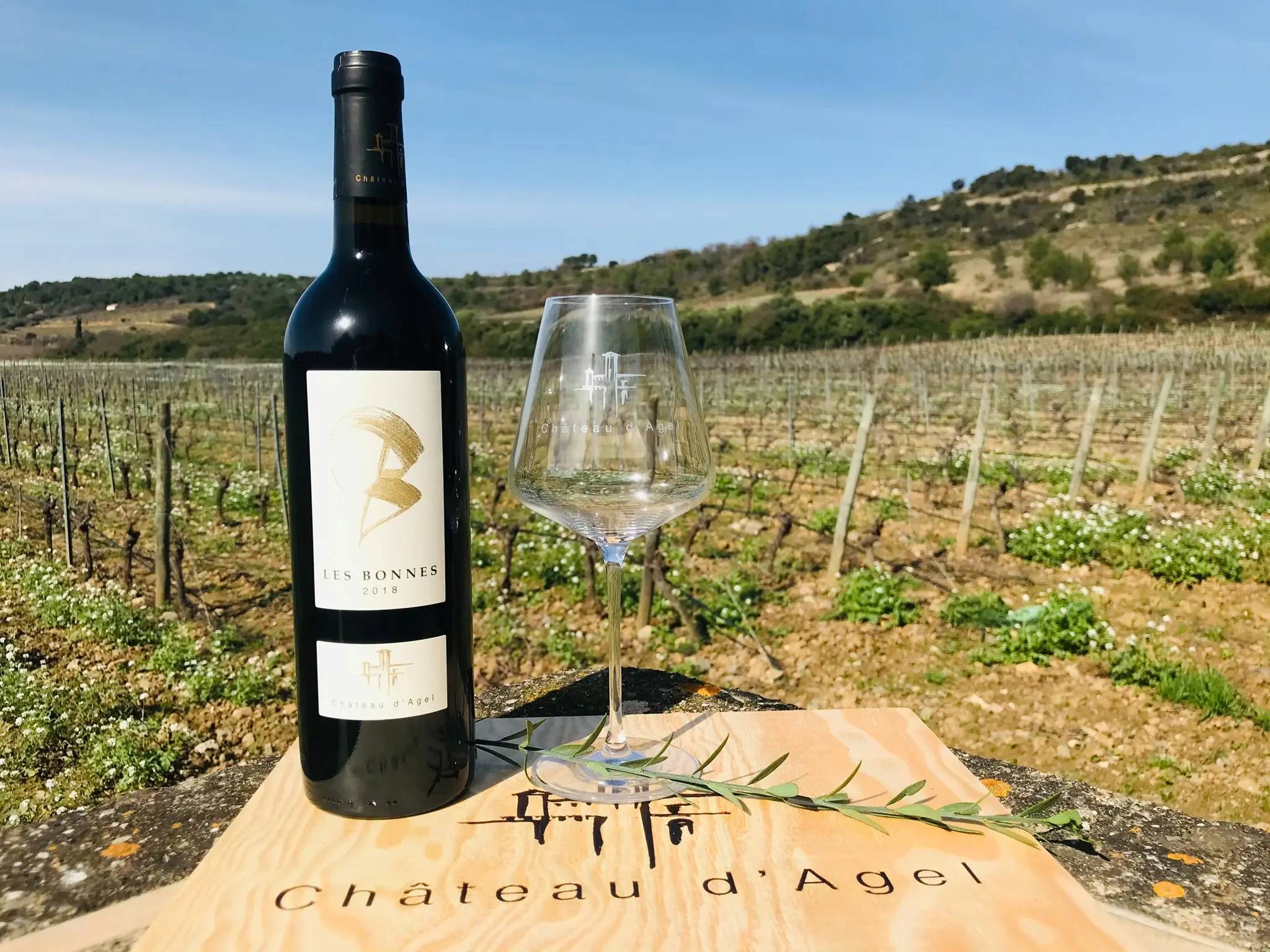 Gourmet Tasting - Château D’agel - Winalist