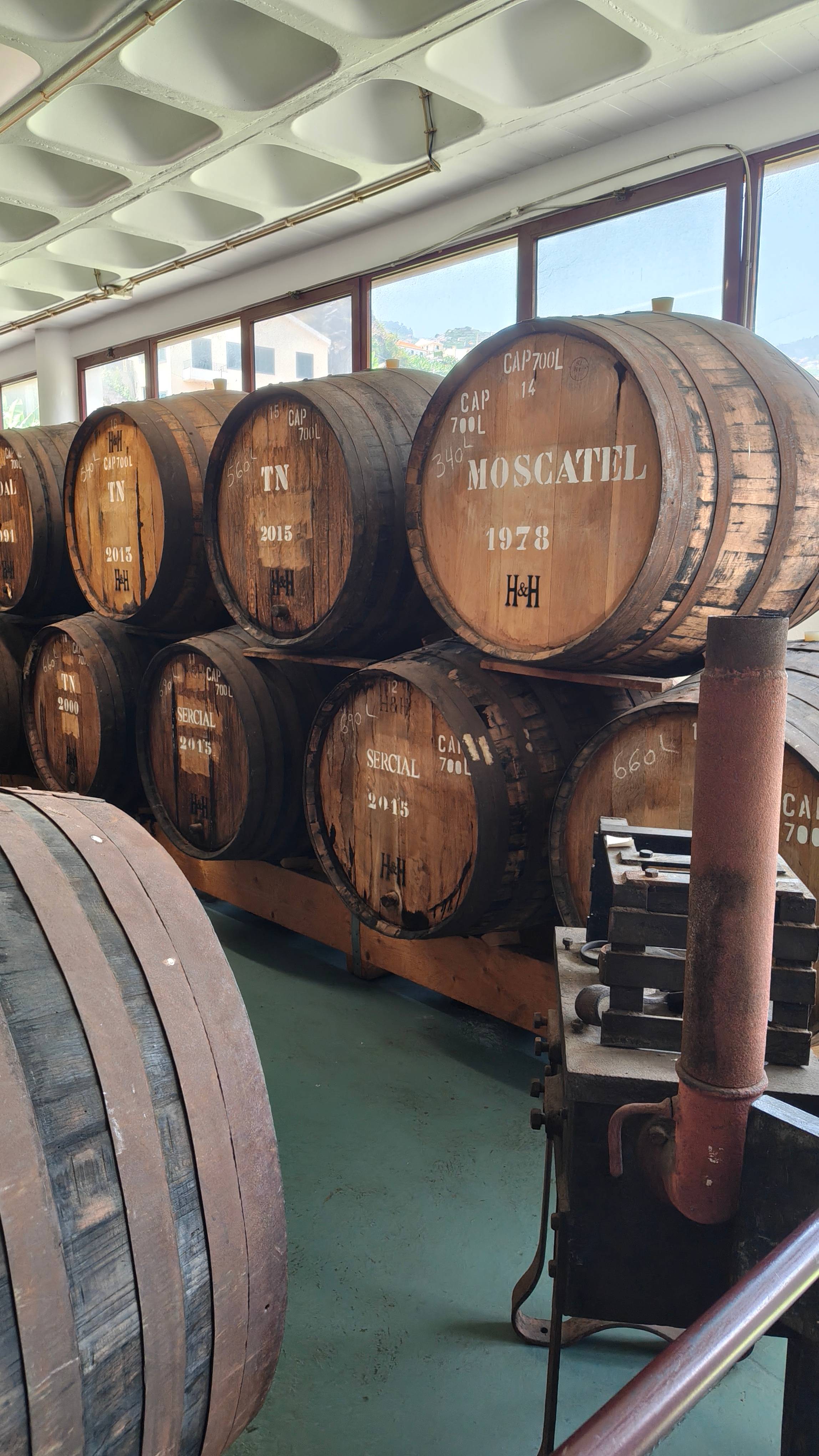 Madeira Wine Tasting