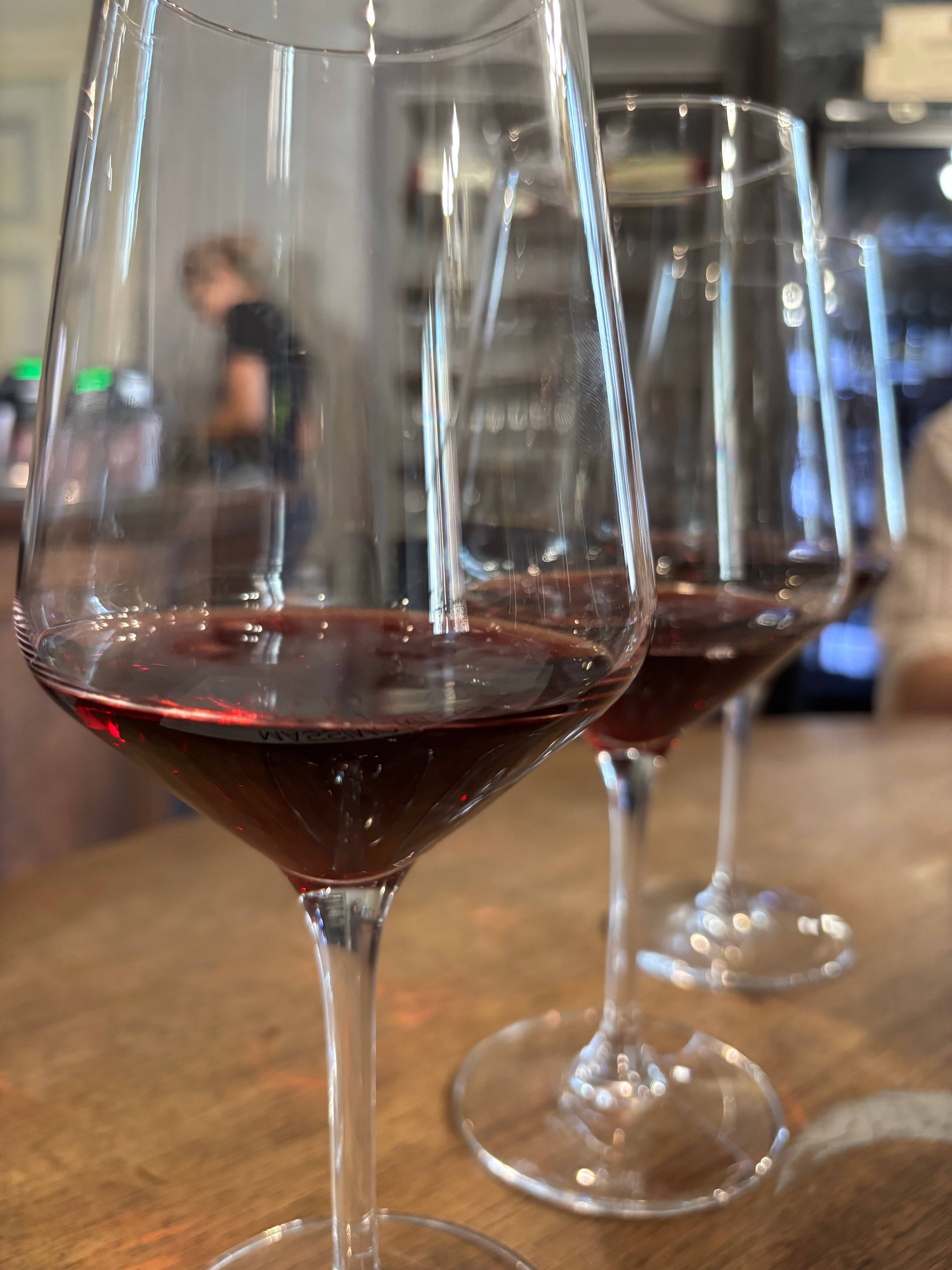 Visite entre les fûts et les vignes avec dégustation de 5 vins
