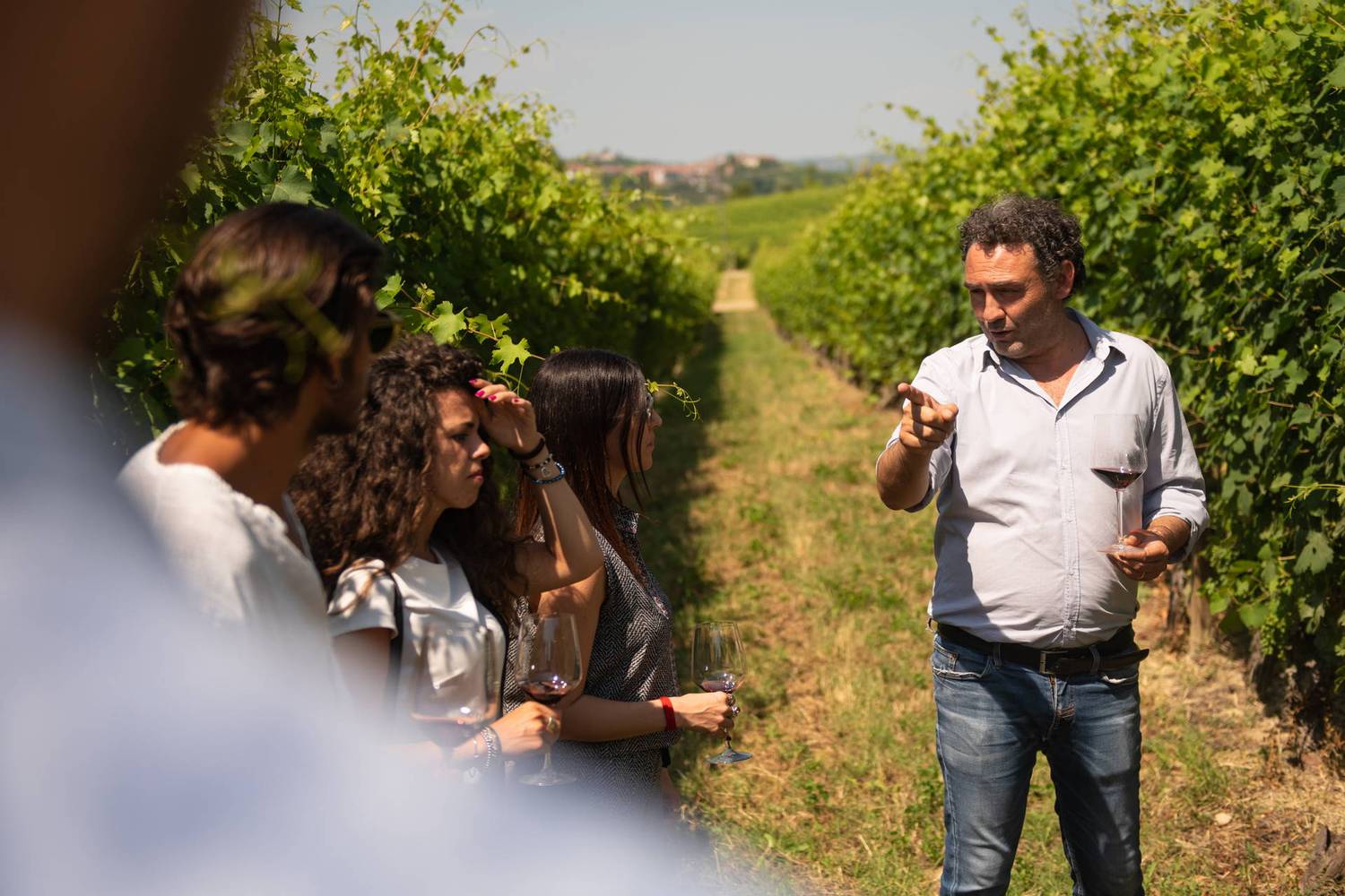 Top 6 things to see & do in Alba Italy - 2026 - 3 - alba italy, langhe wine region, white alba truffle, piedmont vineyards, where is alba italy alba italy, langhe wine region, white alba truffle, piedmont vineyards, where is alba italy - Top 6 things to see & do in Alba Italy - 2026 - 2