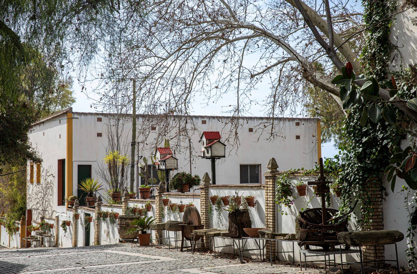 Degustazione Gourmet di Aceti Speciali