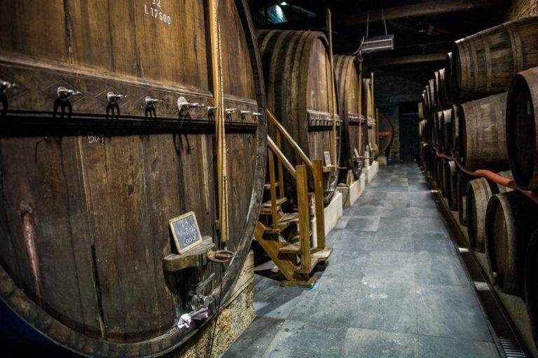 Expérience Vinicole Sélectionnée à la Quinta