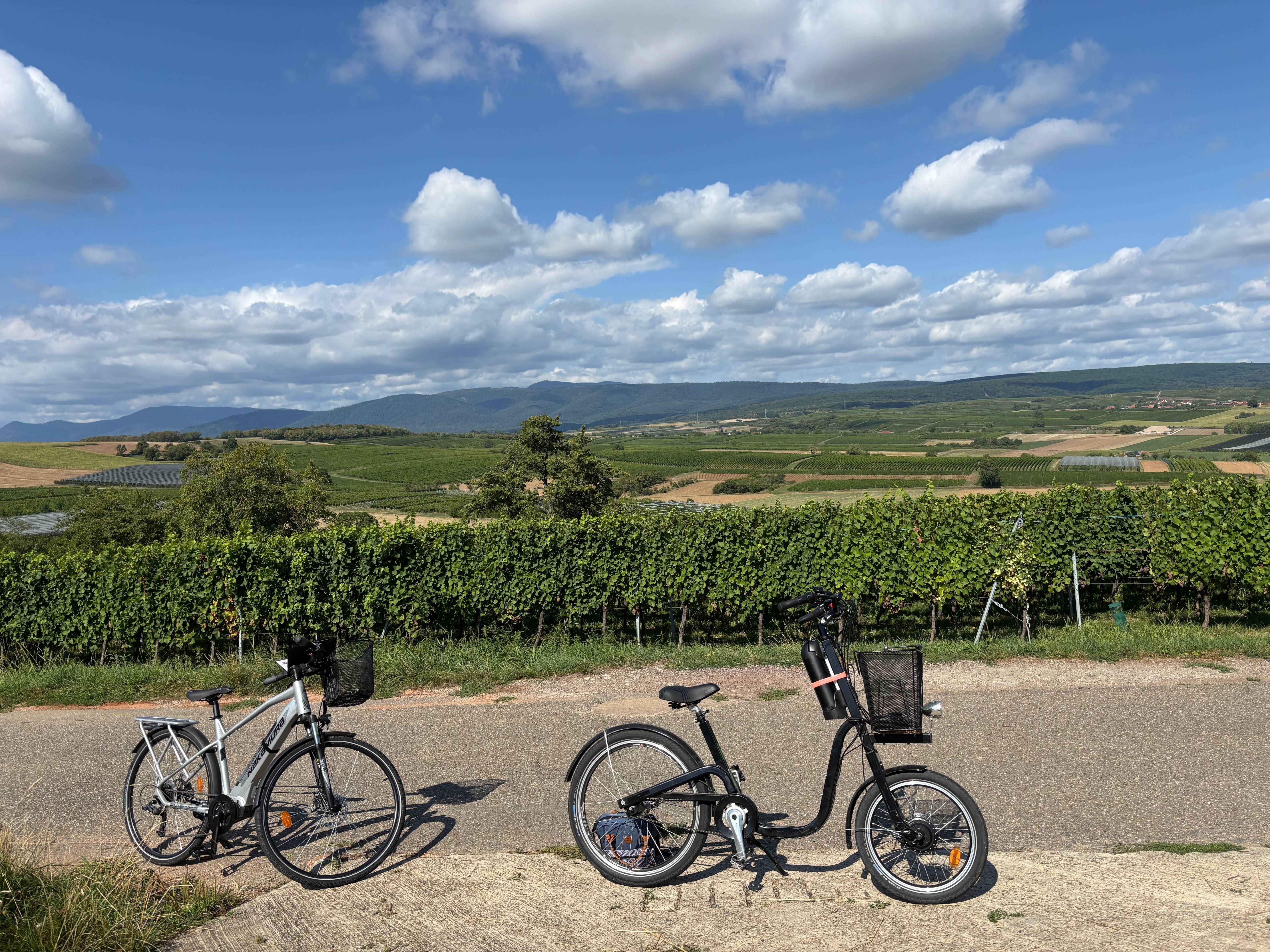 Electric bike ride in the Alsatian vineyard