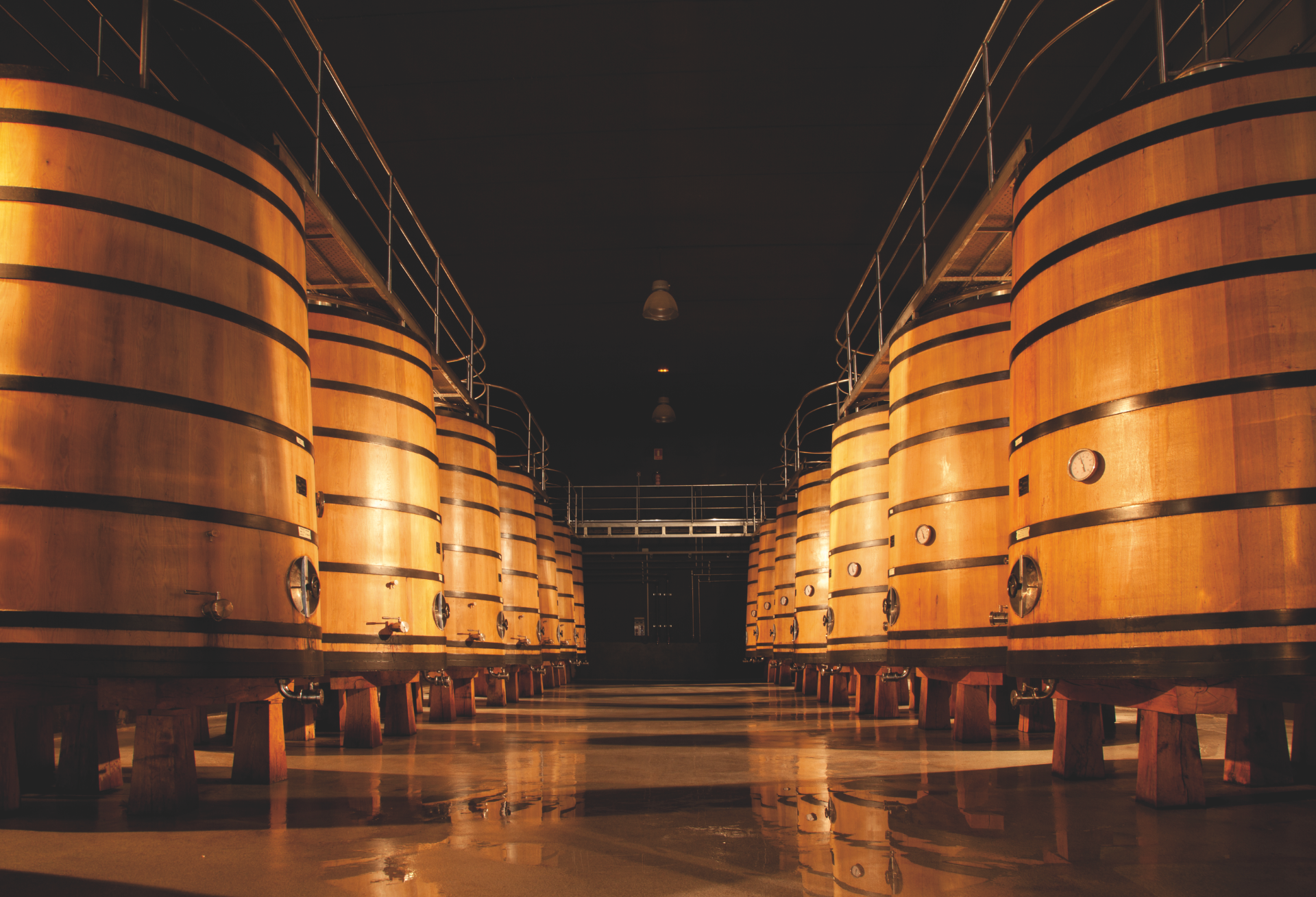 Visita a Martínez Lacuesta: Cultura, Vinhos e Vermutes