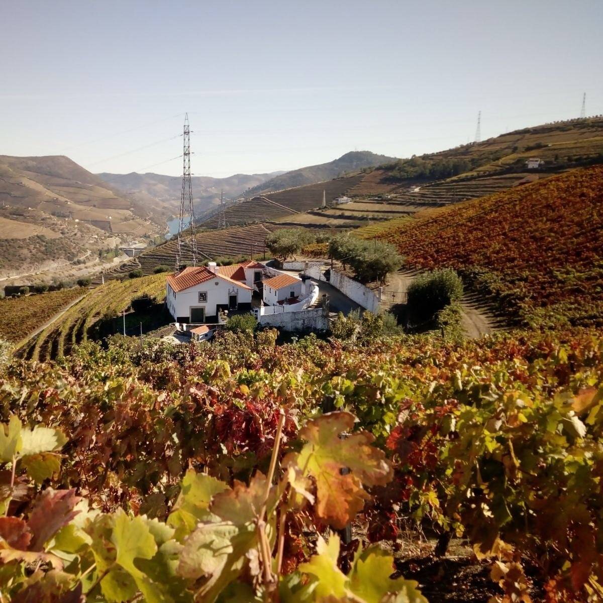 Quinta dos Poços - Winalist