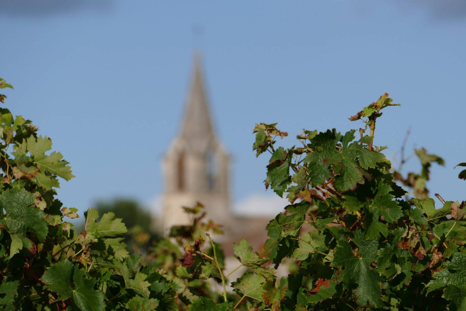 Domaine De Grimardy - Winalist