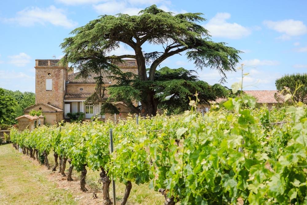 Château de Terride - Winalist