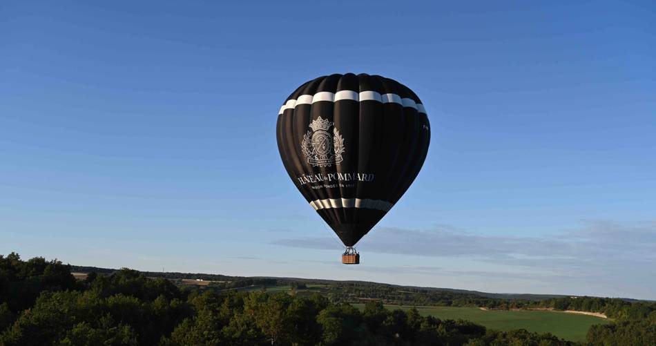 Château de Pommard Wine Tasting Tour guide explaining wine production.