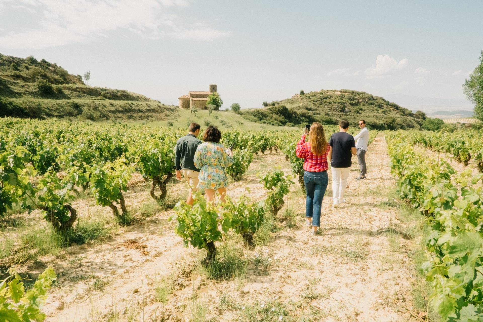 Rooters | Wine Encounters In Northern Spain - Winalist