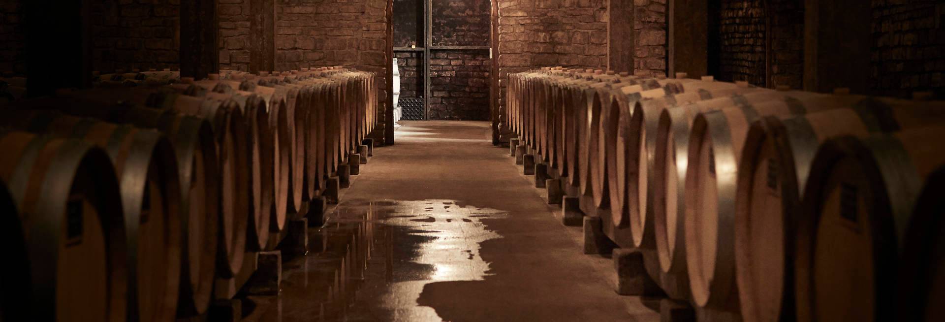 Exceptional Grand Cru Tasting