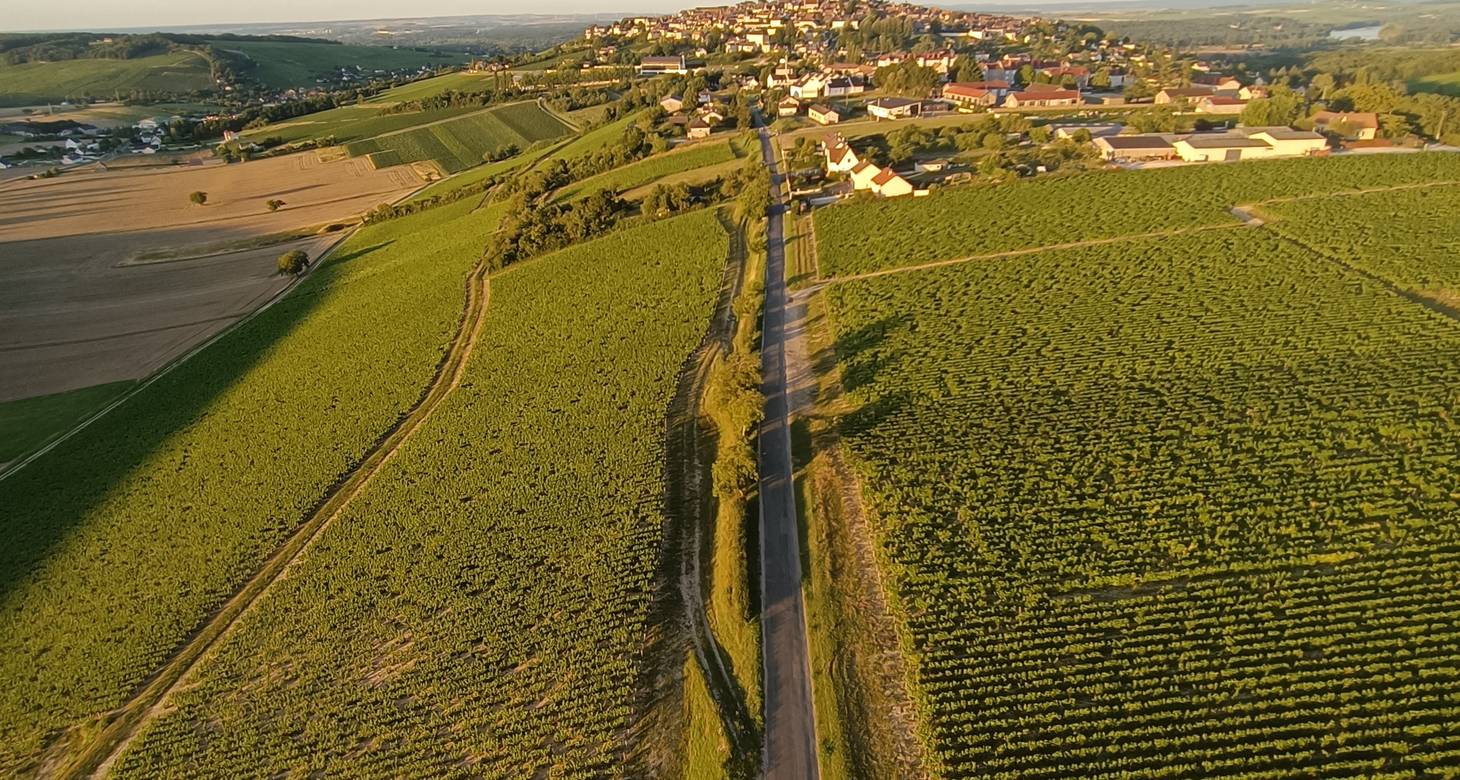 Visiter Bourges : Découvrir la capitale du Berry - 2026 - 10 - visiter bourges visiter bourges - Visiter Bourges : Découvrir la capitale du Berry - 2026 - 9
