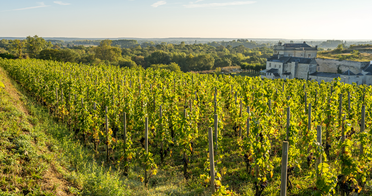 Château de Parnay - Winalist