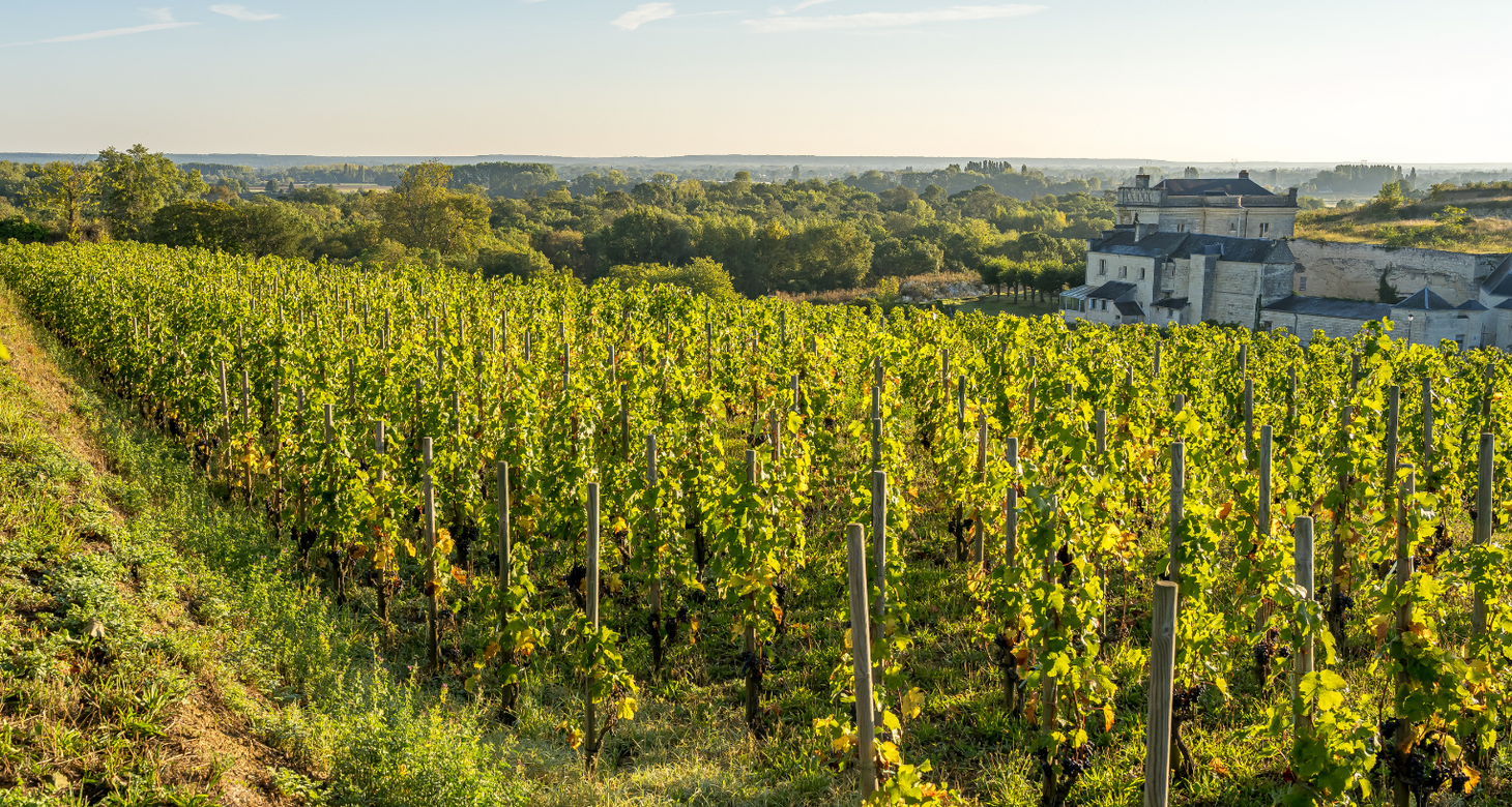 Visiter Saumur et ses environs : Les immanquables - 2026 - 21 - visiter saumur visiter saumur - Visiter Saumur et ses environs : Les immanquables - 2026 - 20