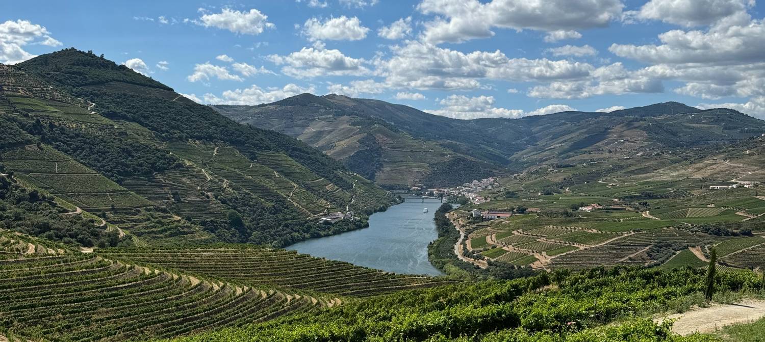 Visiter Peso da Régua : Plongez au coeur d'un vignoble d'exception - 2026 - 9 - peso da régua peso da régua - Visiter Peso da Régua : Plongez au coeur d'un vignoble d'exception - 2026 - 8
