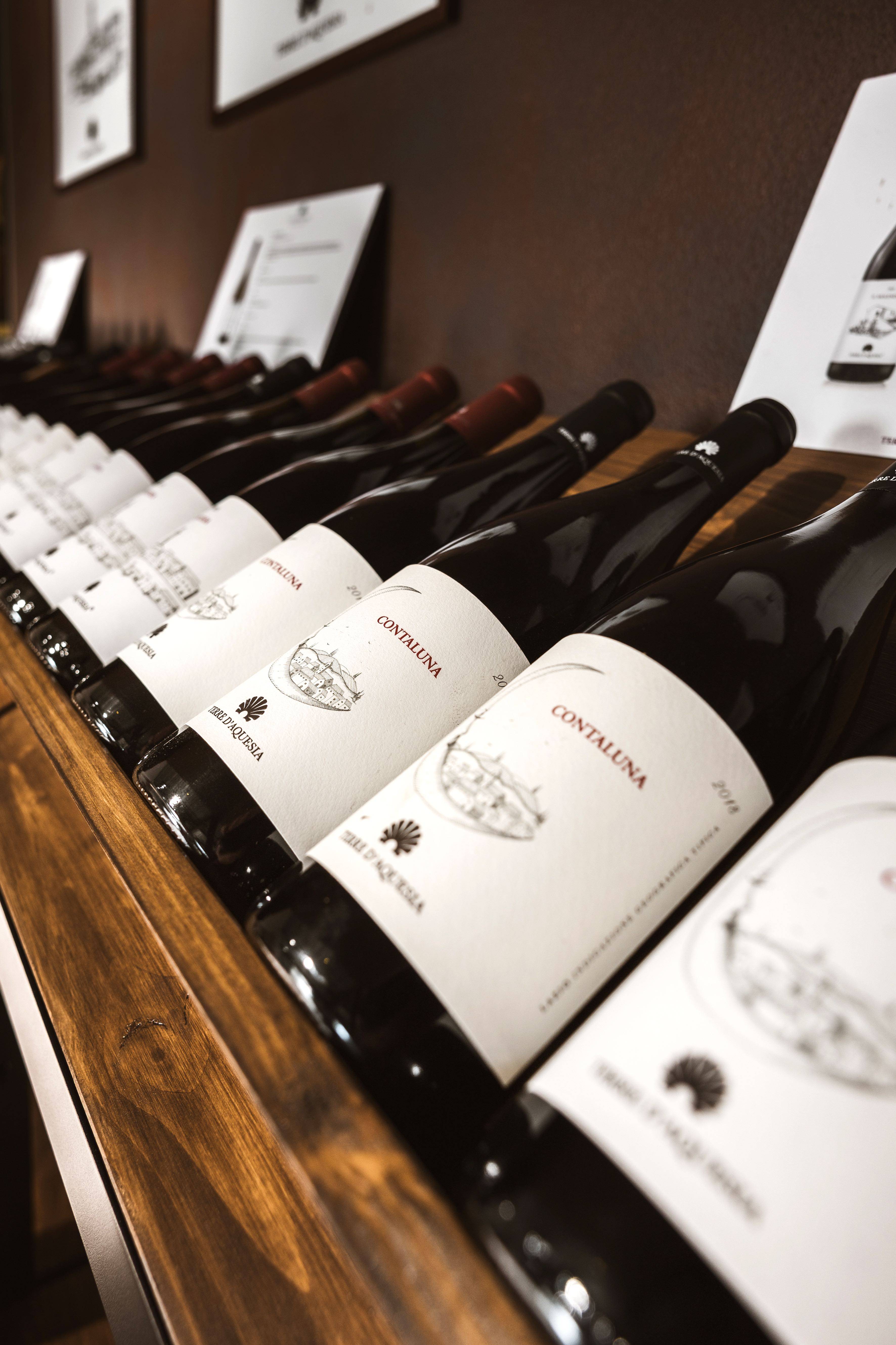 Tour in Barricaia e Degustazione Vini Riserva